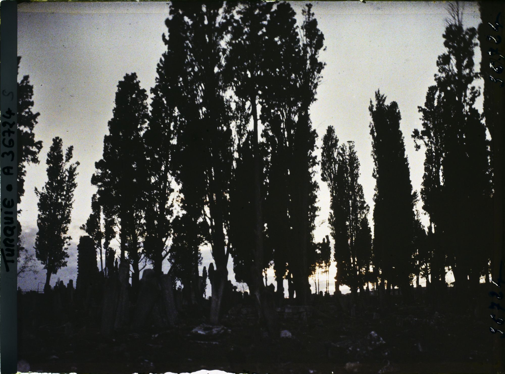 Image représentant Turquie, Constantinople, Soleil Couchant au Cimetière de Teckfour- Seraï