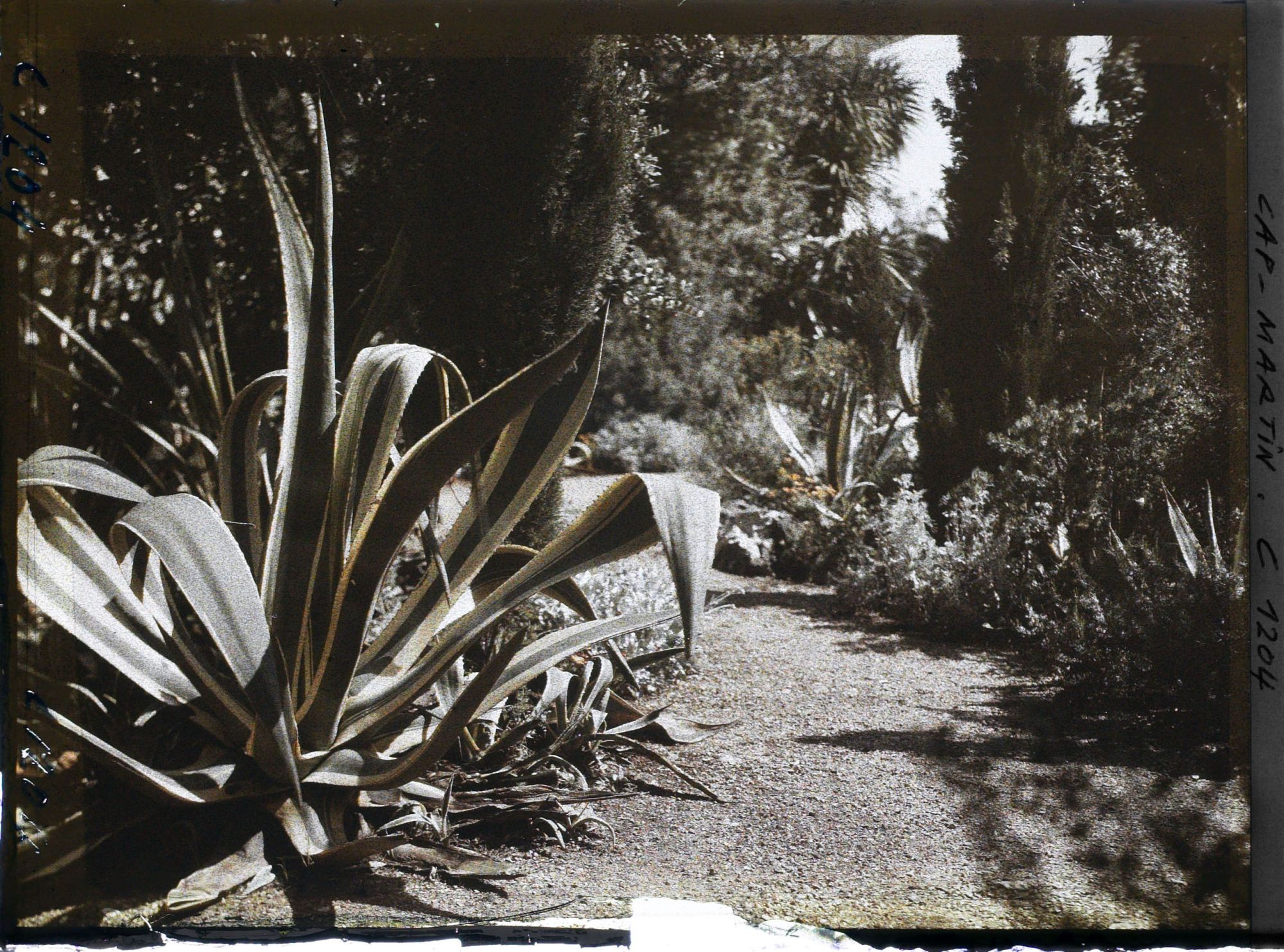 Image représentant le Jardin