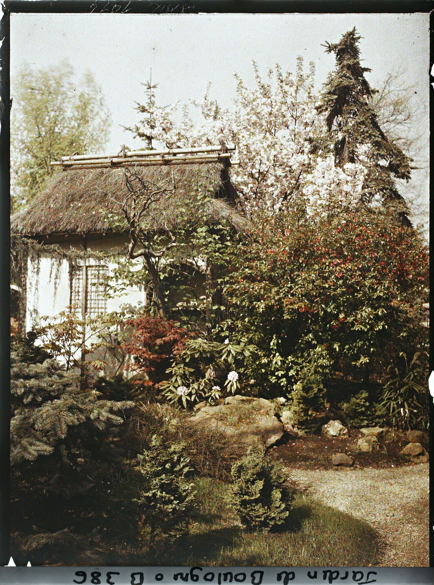 Image représentant Face est de la maison de thé cachée, en bord de chemin, par la végétation du " village japonais "