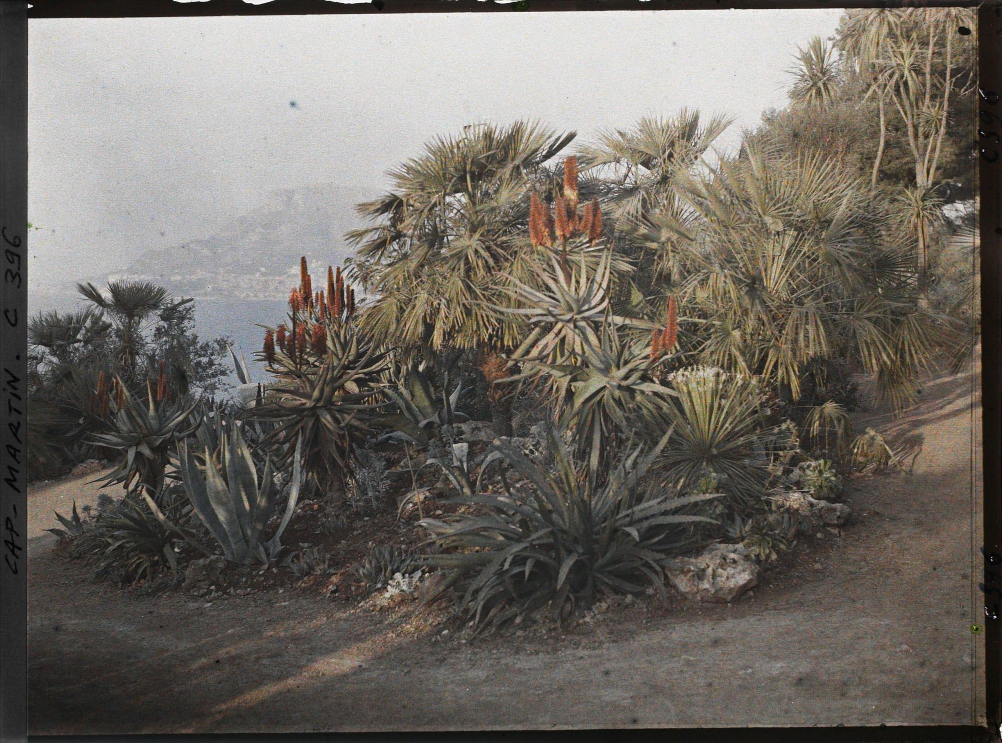 Image représentant Cap Martin Le Jardin