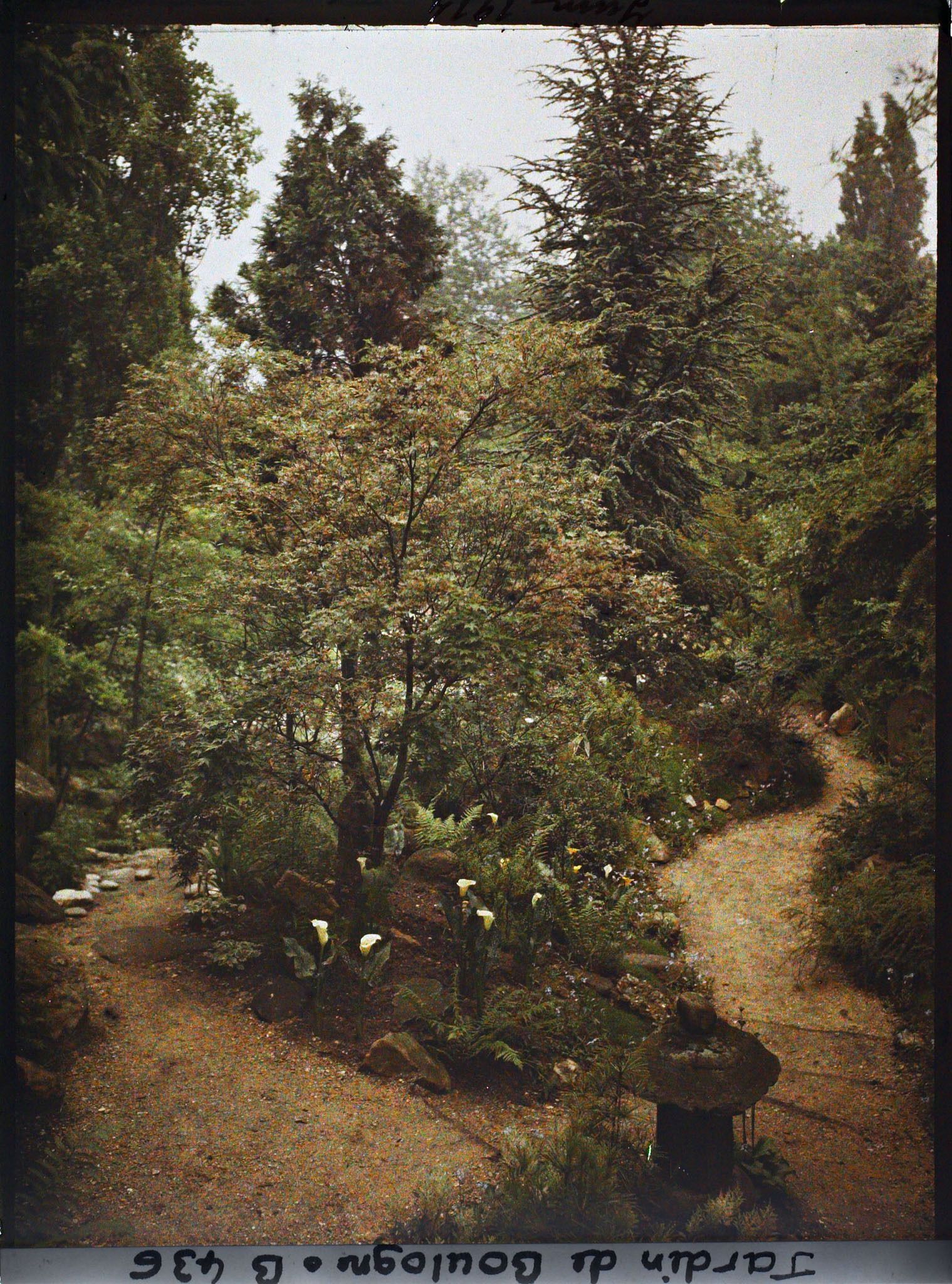 Image représentant Chemins situés dans le " sanctuaire japonais " et menant au " village japonais "