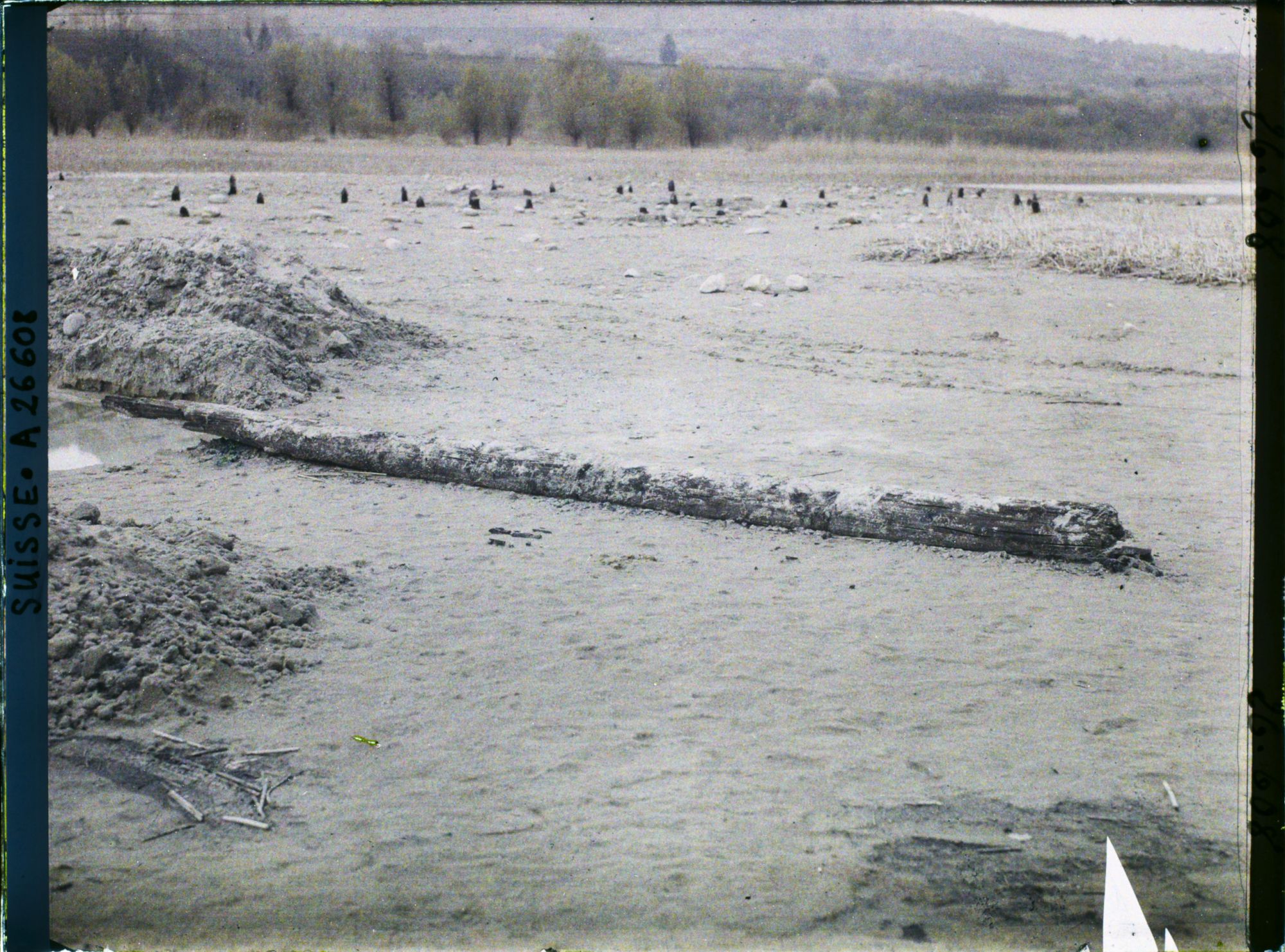 Image représentant Site palafittique préhistorique des Alpes, pieux en bois visibles lors de la baisse des eaux après la grande sécheresse de 1921 sur le lac de Neuchâtel