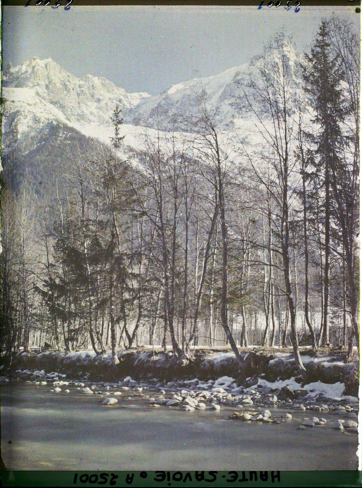 Image représentant France, Les Alpes-Vallée de Chamonix Paysage le long de l'Arve vers l'aiguille du Plan et l'aiguille de Blaitière