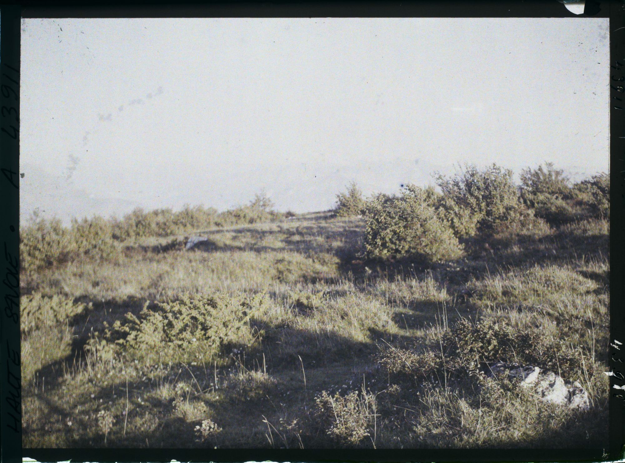Image représentant France, Le Salève, Végétation s/ le Gd Salève (vue prise le soir)