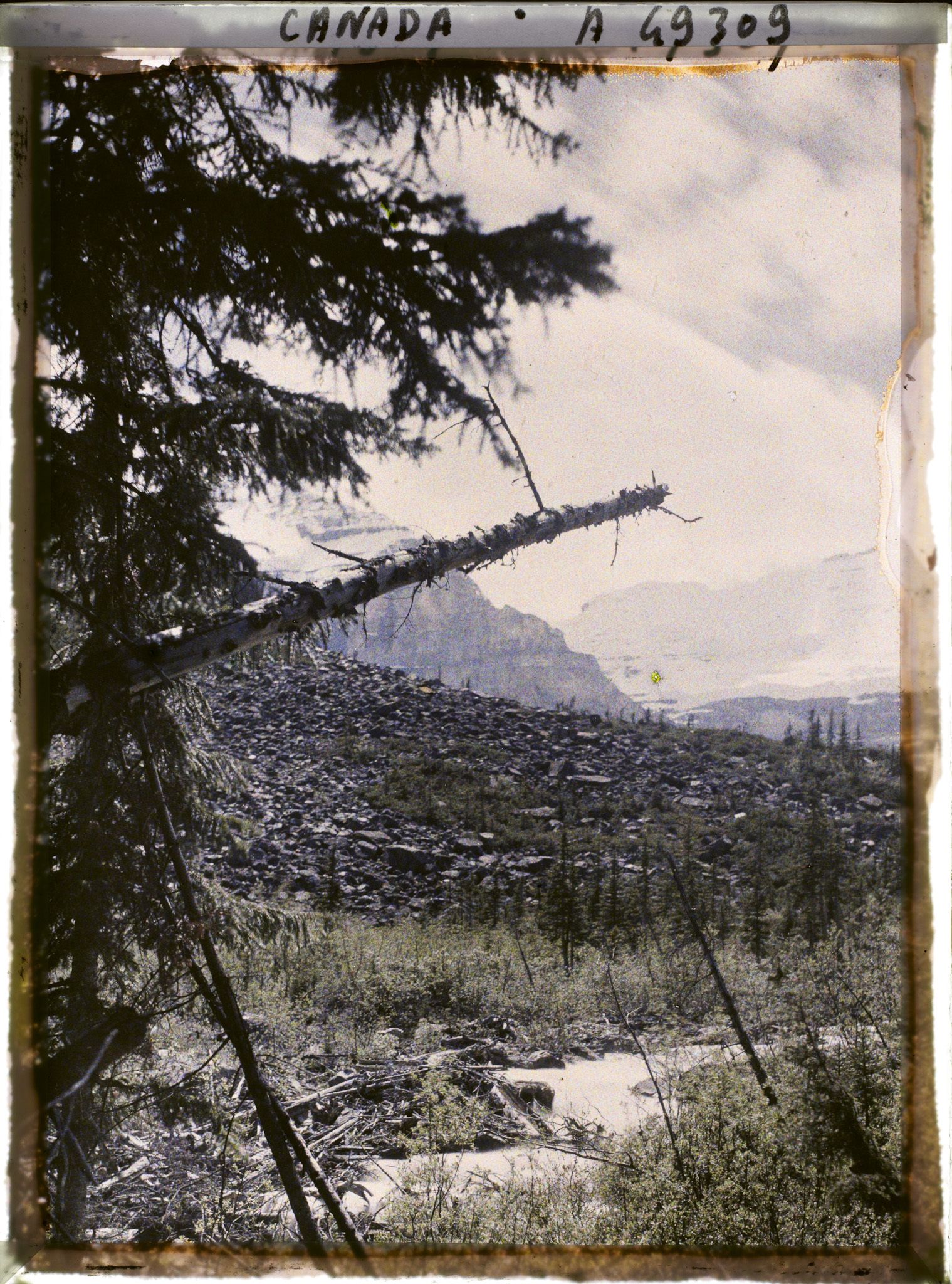 Image représentant Canada, Lac Louise, Torrent Victoria etGlacier Victoria  (contre jour)
