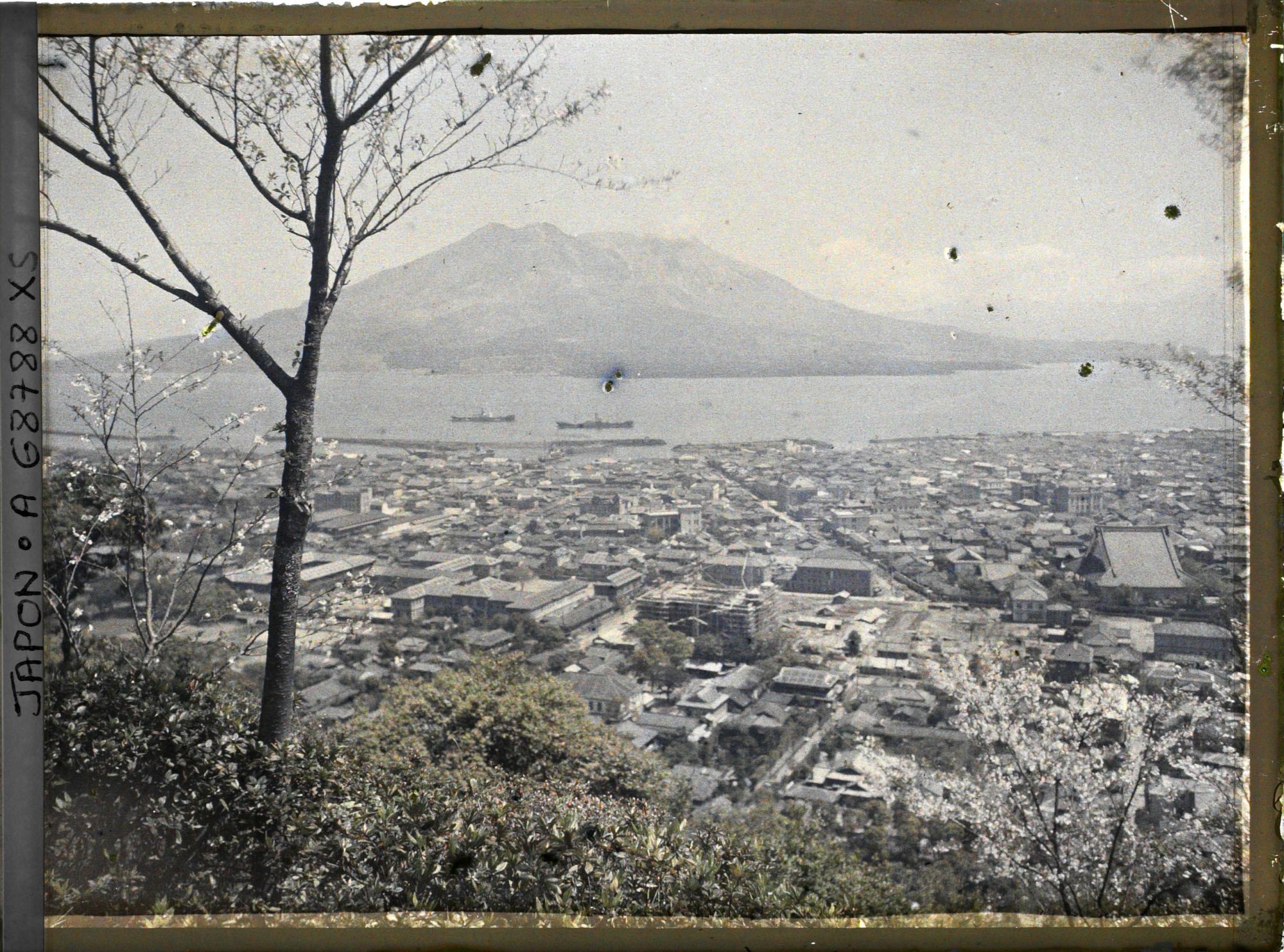 Image représentant Panorama sur la ville et sur le volcan Sakurajima