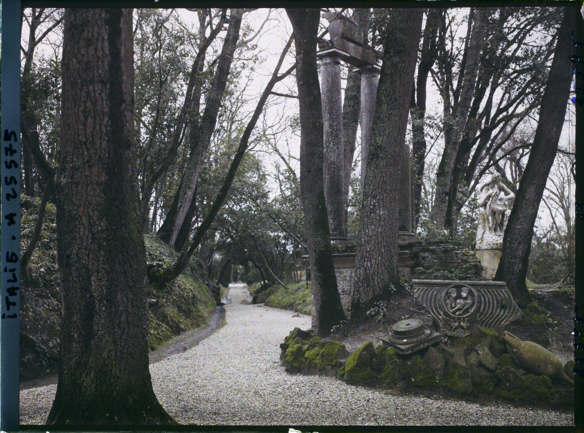 Image représentant Jardins du Vatican