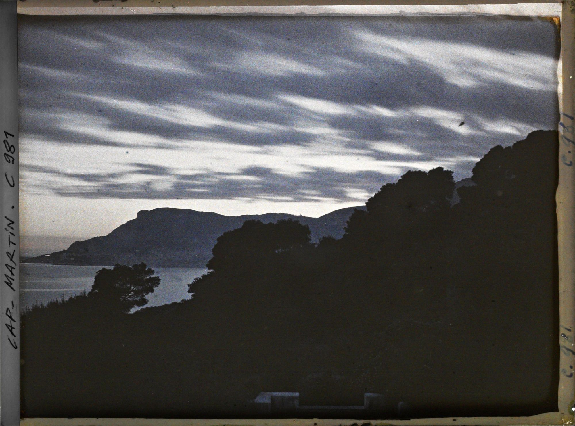 Image représentant Ligne arborée près de la villa Kahn, dite villa Zamir, se découpant à contre-jour vers Monaco