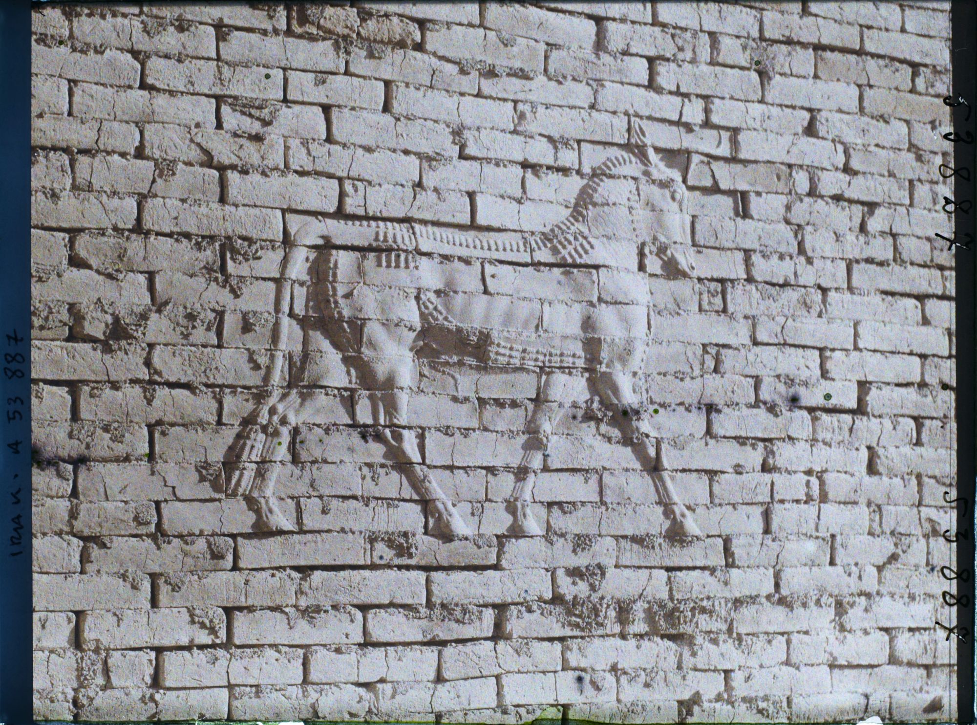 Image représentant Porte d'Ishtar : le taureau symbole d'Adad le dieu de l'orage