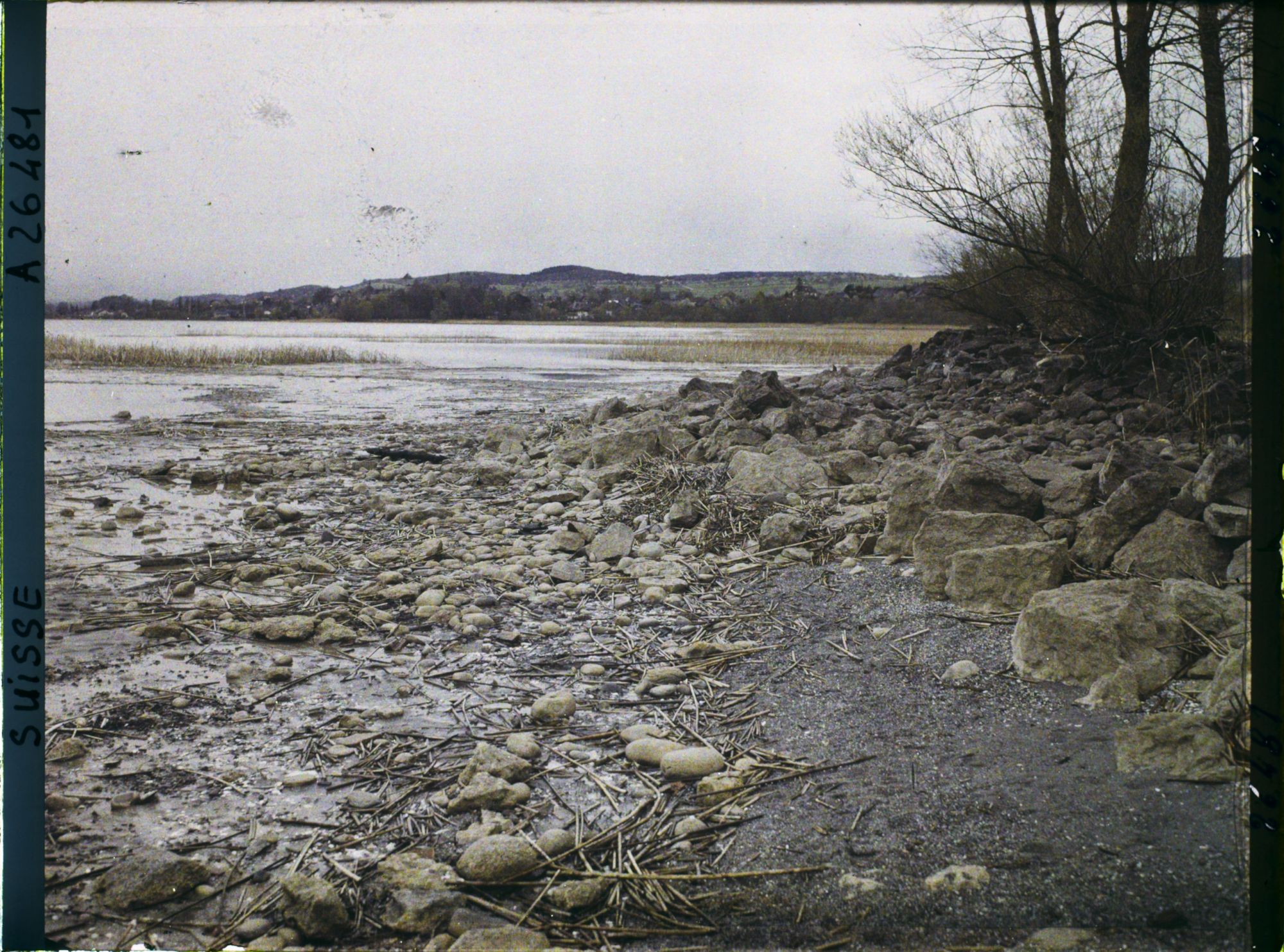 Image représentant Site palafittique préhistorique des Alpes, pieux en bois visibles lors de la baisse des eaux après la grande sécheresse de 1921