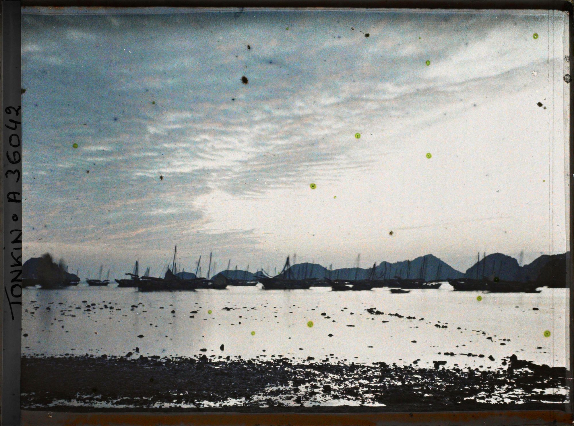 Image représentant Une flottille de jonques et de sampans sur fond de rochers devant l'île Cat-bà, près du poste de douane