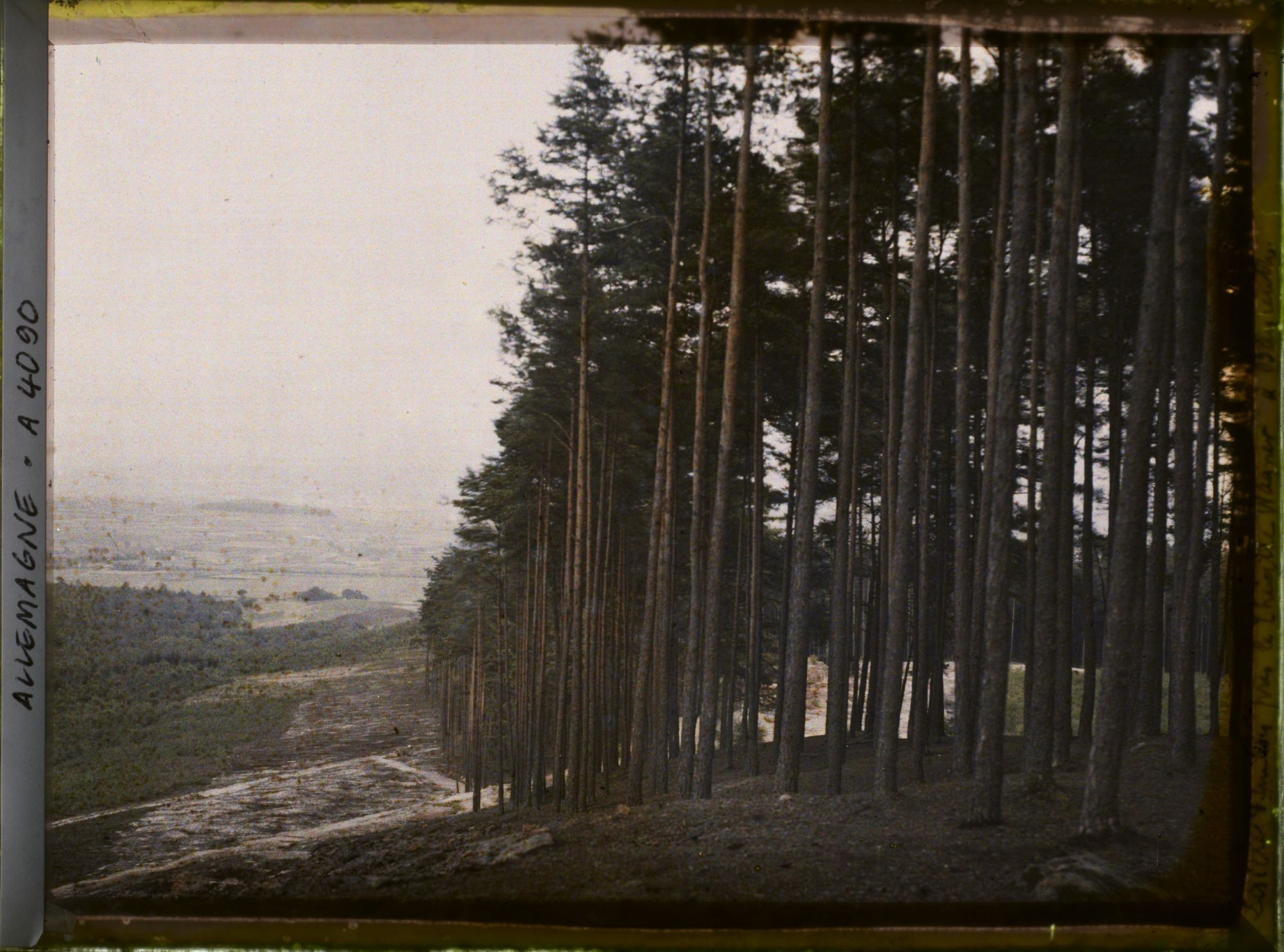 Image représentant Bavière, Bayreuth, Lisière d'un bois près le Théâtre Wagner