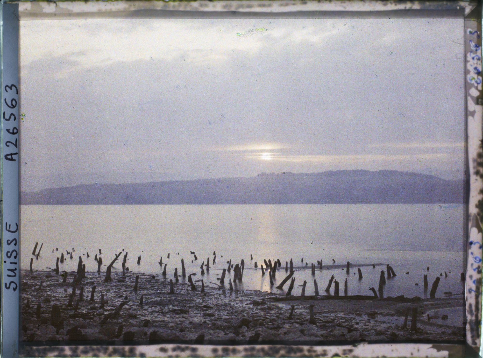 Image représentant Site palafittique préhistorique des Alpes, pieux en bois visibles lors de la baisse des eaux après la grande sécheresse de 1921. Coucher de soleil sur le lac de Morat
