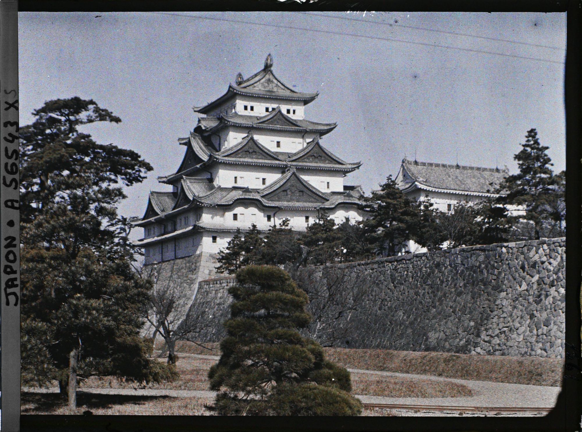 Image représentant Le donjon (tenshu) du château de Nagoya (Nagoya-jôshi) depuis le Nishi-no-maru