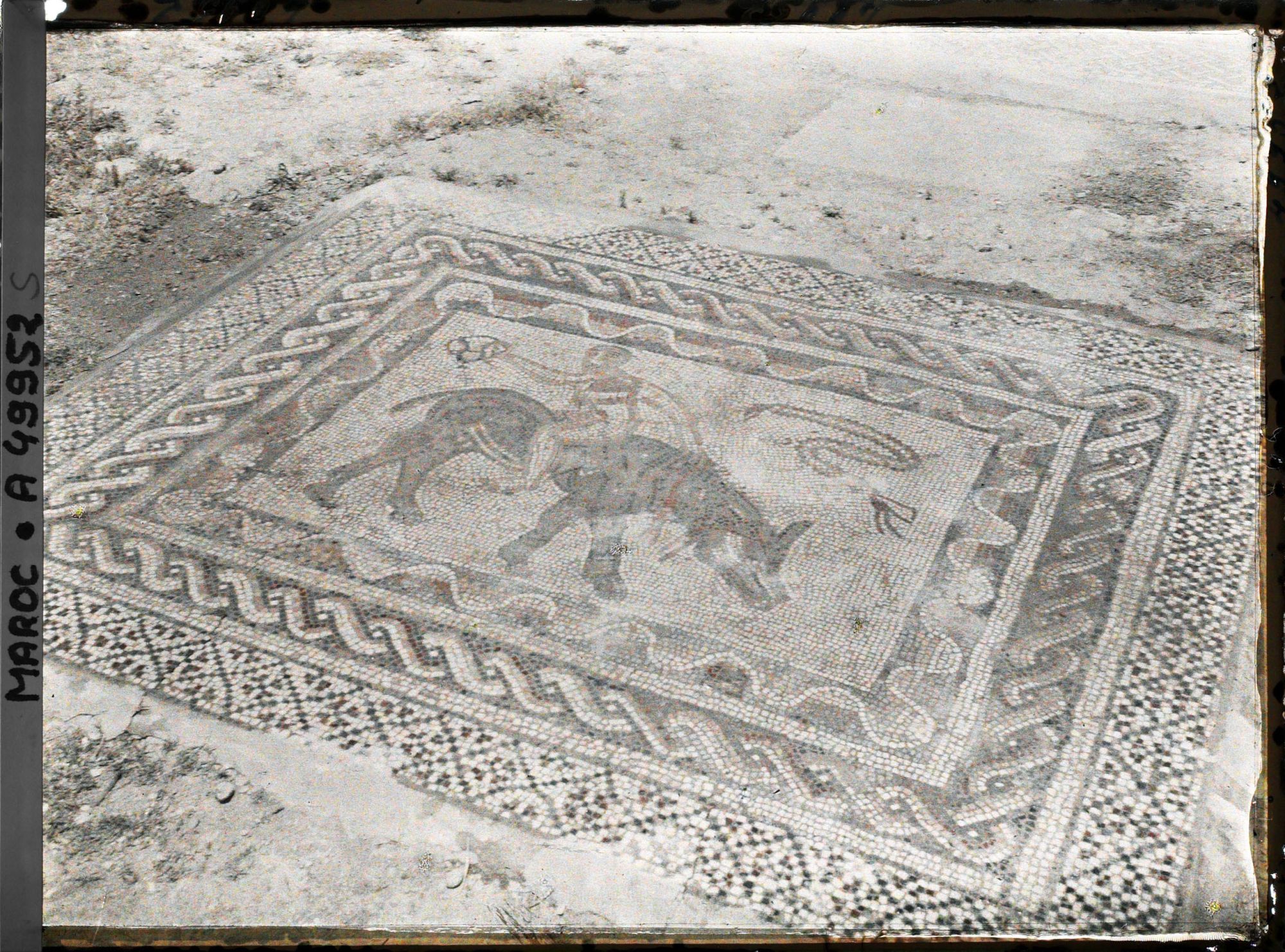 Image représentant Mosaïque de la maison au Desultor