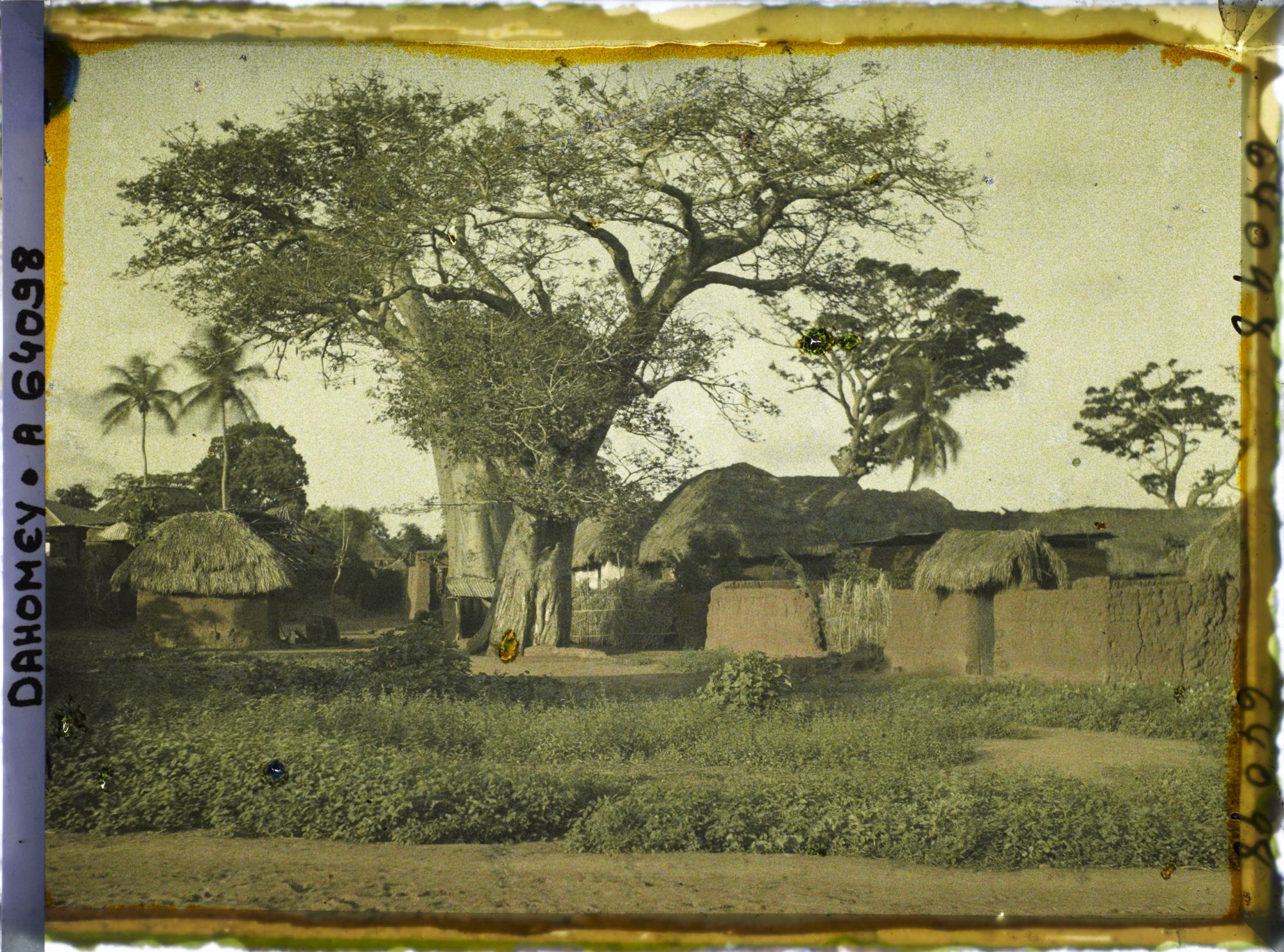 Image représentant Baobab dans le village