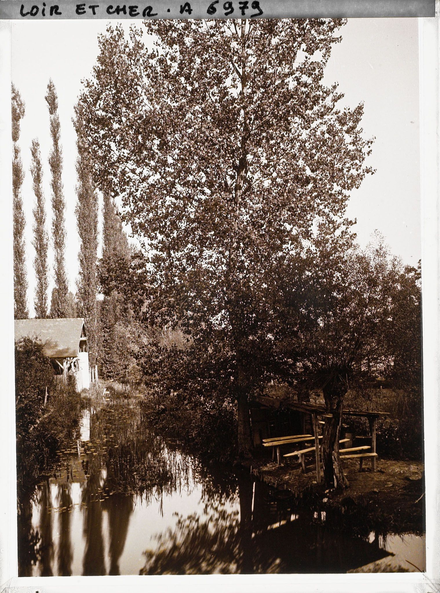 Image représentant Un coin d'étang