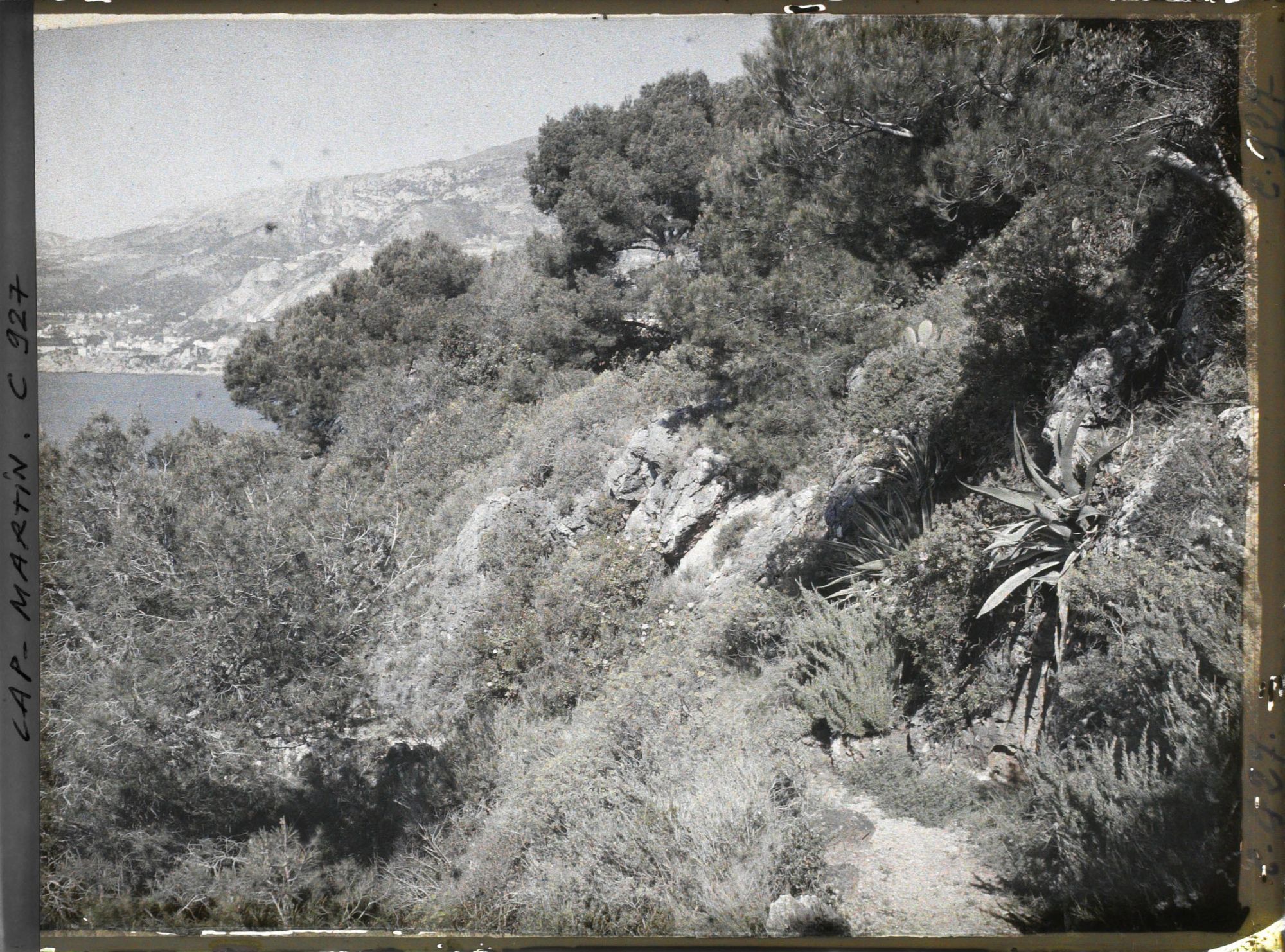 Image représentant Vue vers Monte Carlo