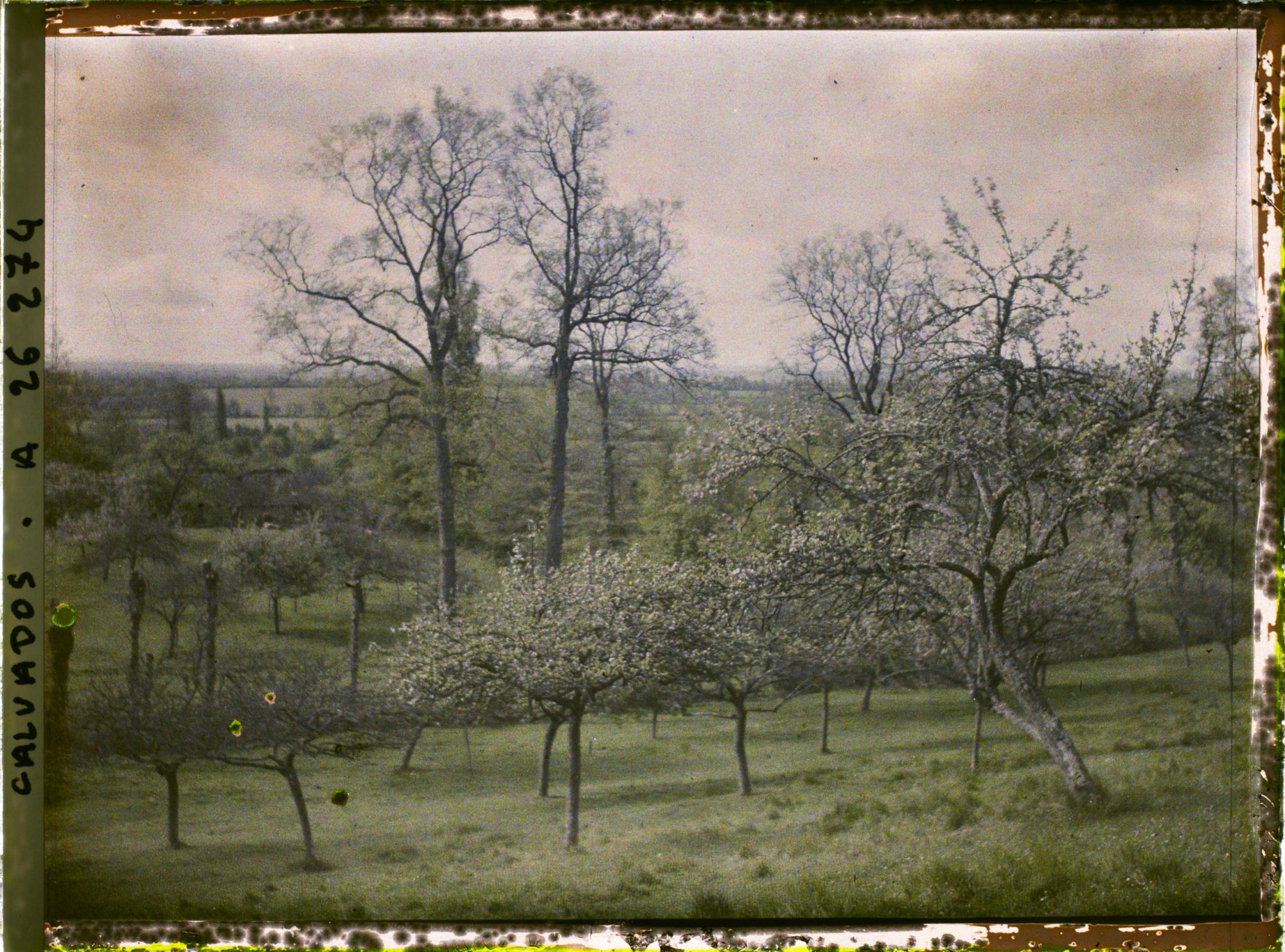 Image représentant Vue sur la vallée d'Auge