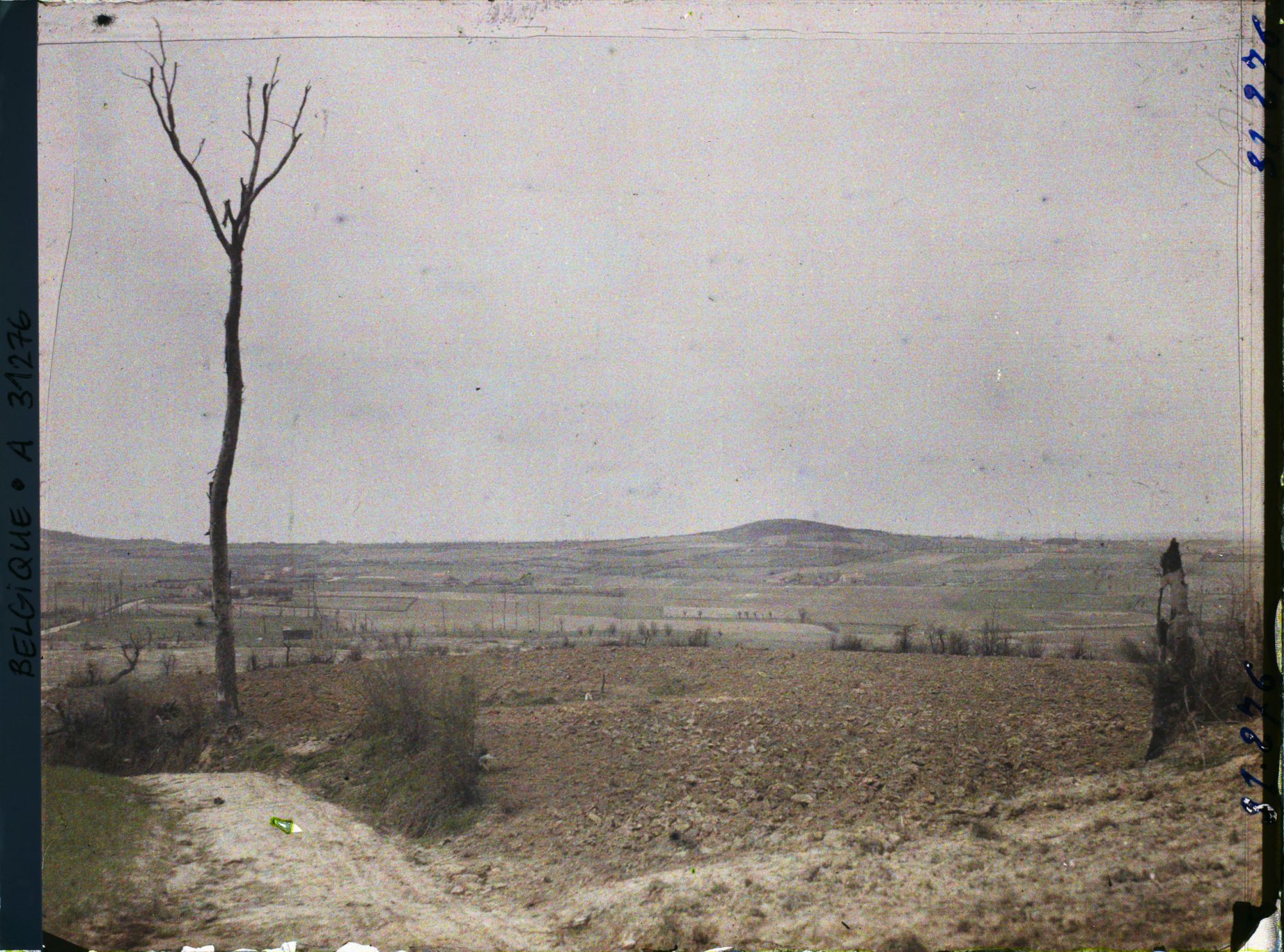 Image représentant Belgique, Kemmel, Le Scherpenberg vu du Kemmel