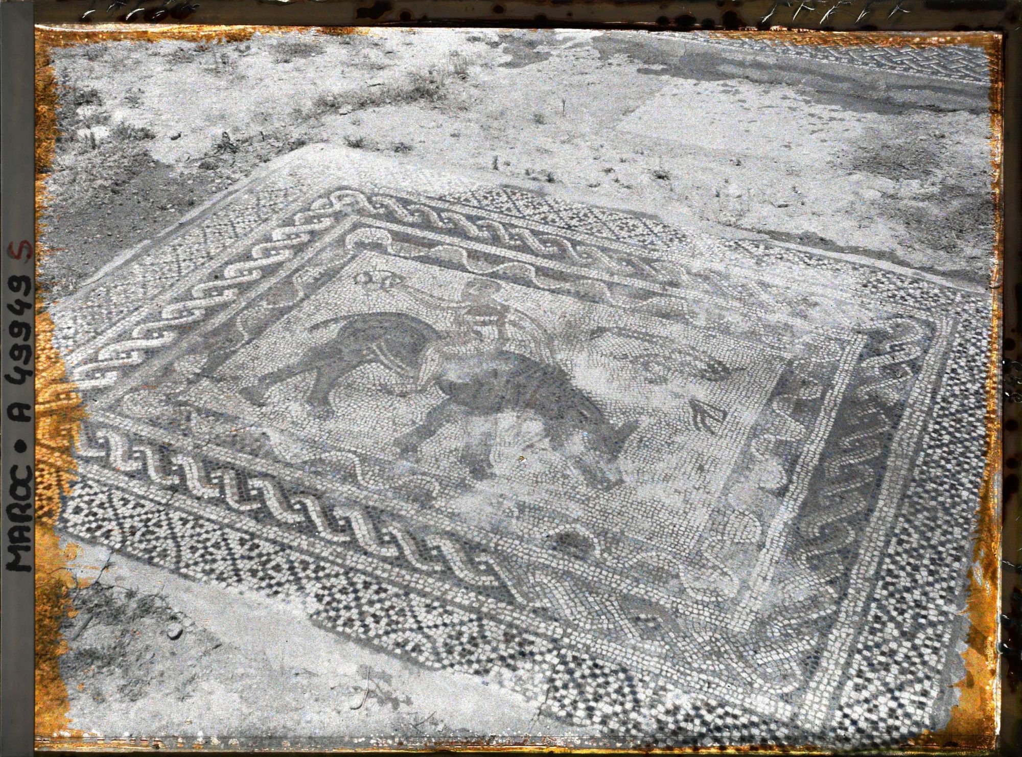 Image représentant Mosaïque de la maison au Desultor