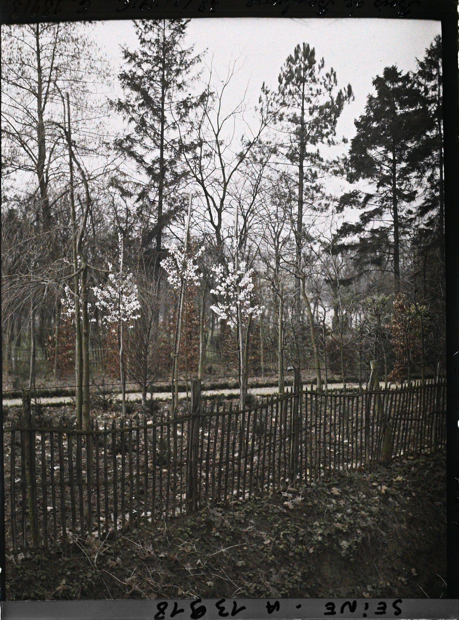 Image représentant Le bois de Boulogne