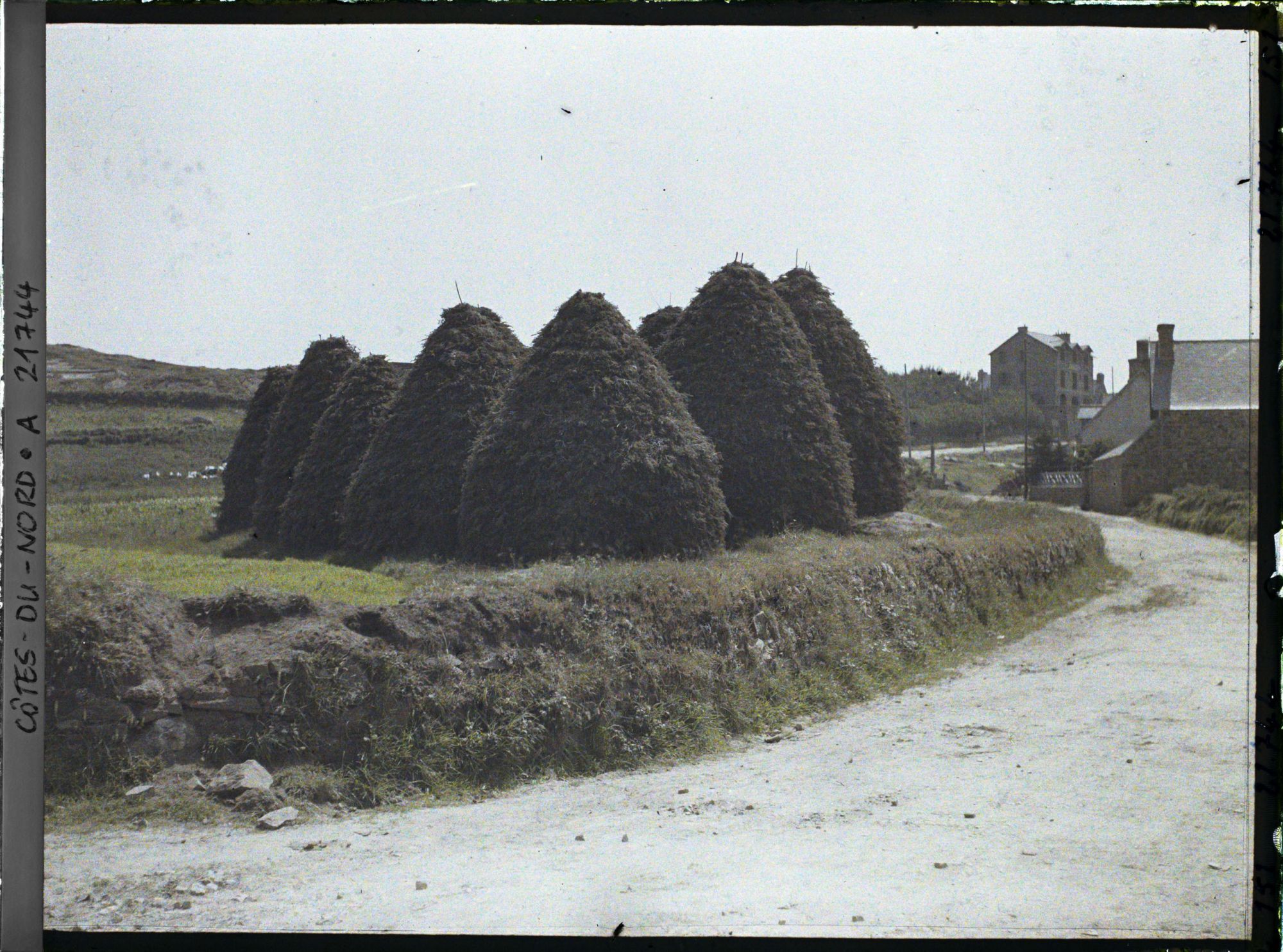 Image représentant Meules de foin dans un champ près de La Clarté
