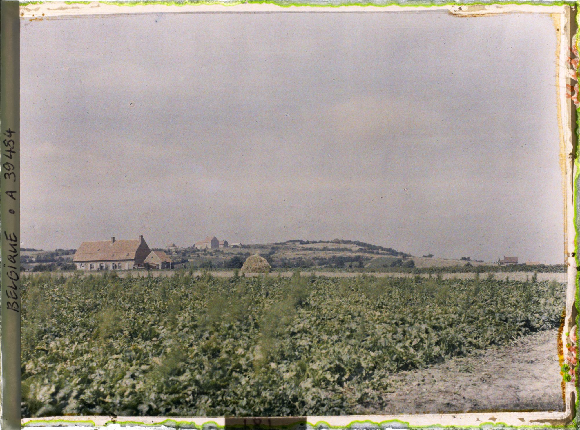 Image représentant Belgique, Locre, Une vue sur le Mont Rouge