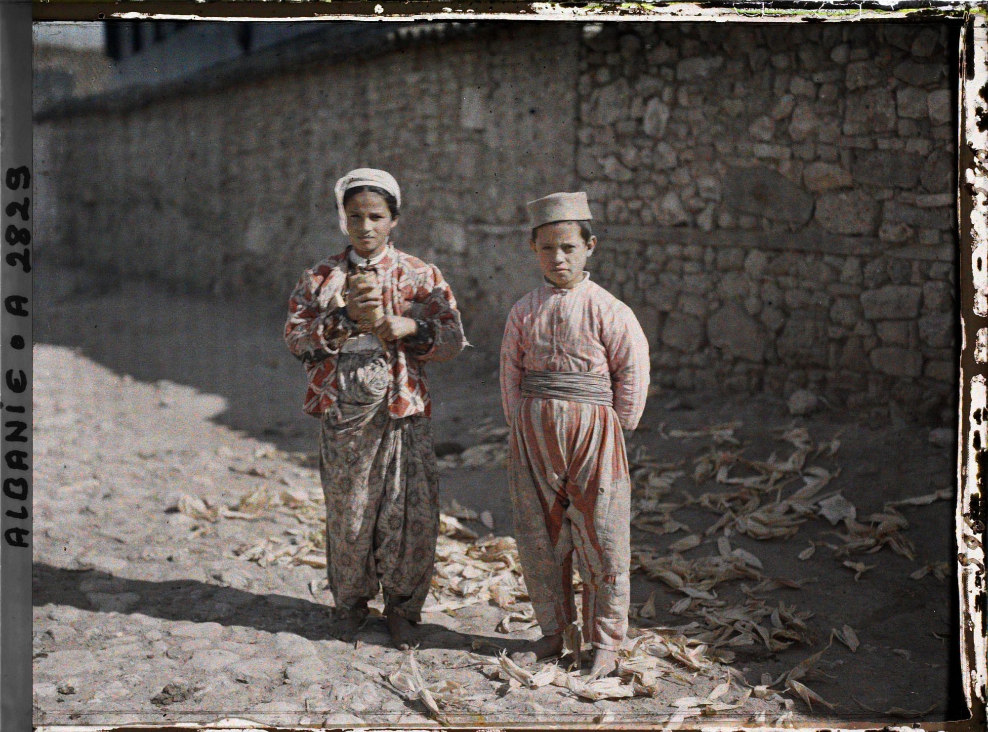 Image représentant Une petite Tsigane et un petit Albanais au milieu de feuilles de maïs
