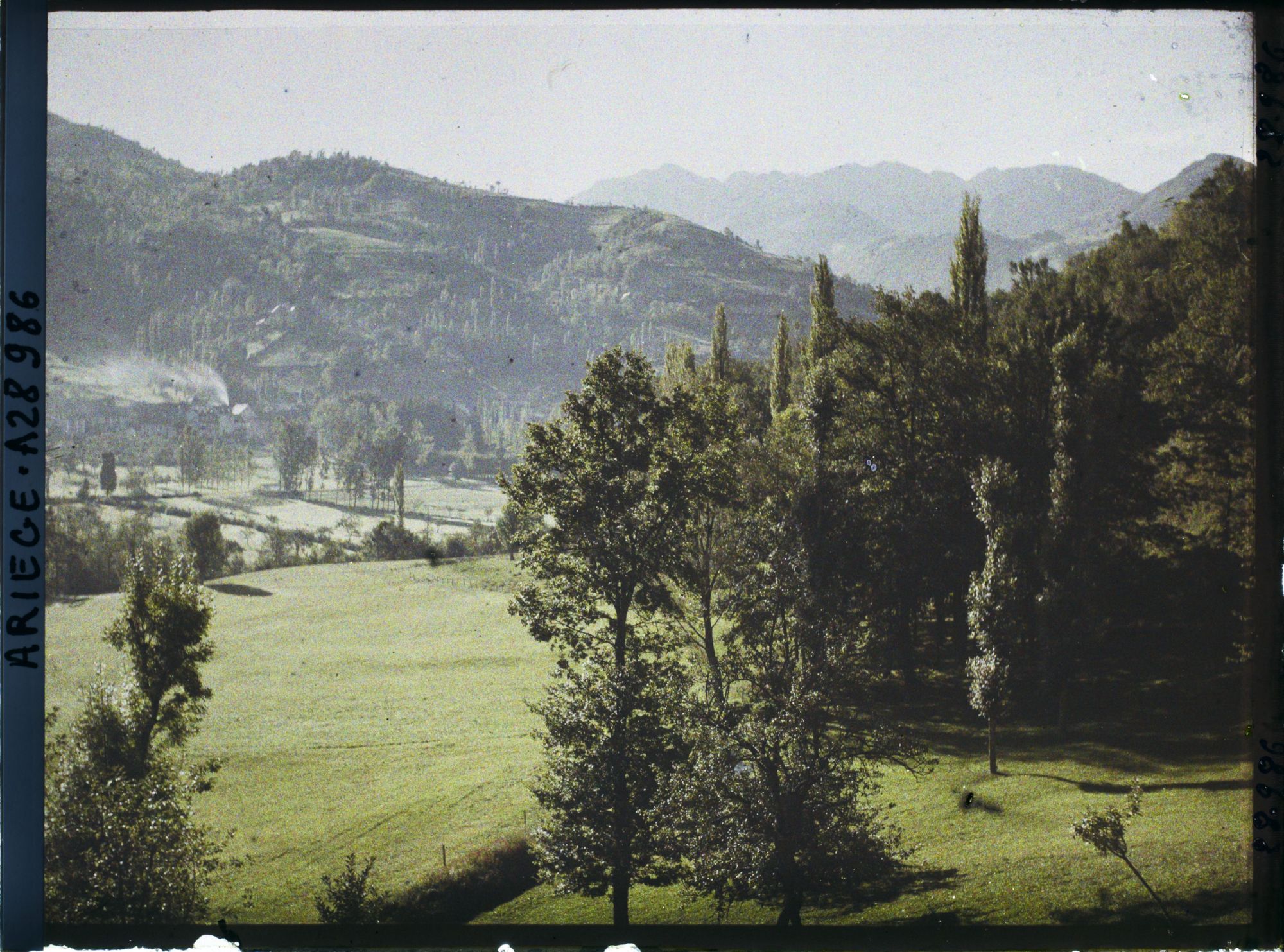Image représentant La vallée du Lez vue vers l'amont prise de la rive gauche