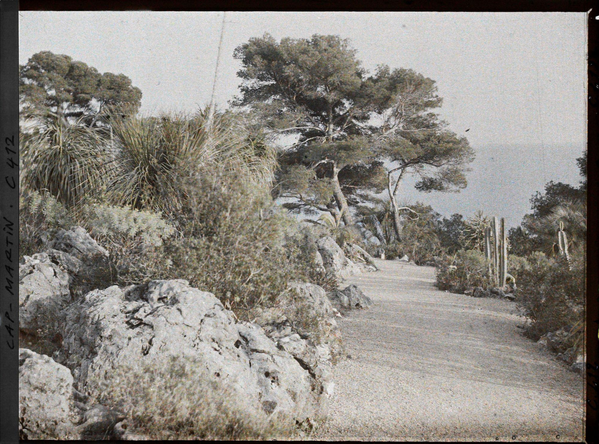 Image représentant Cap Martin Le Jardin