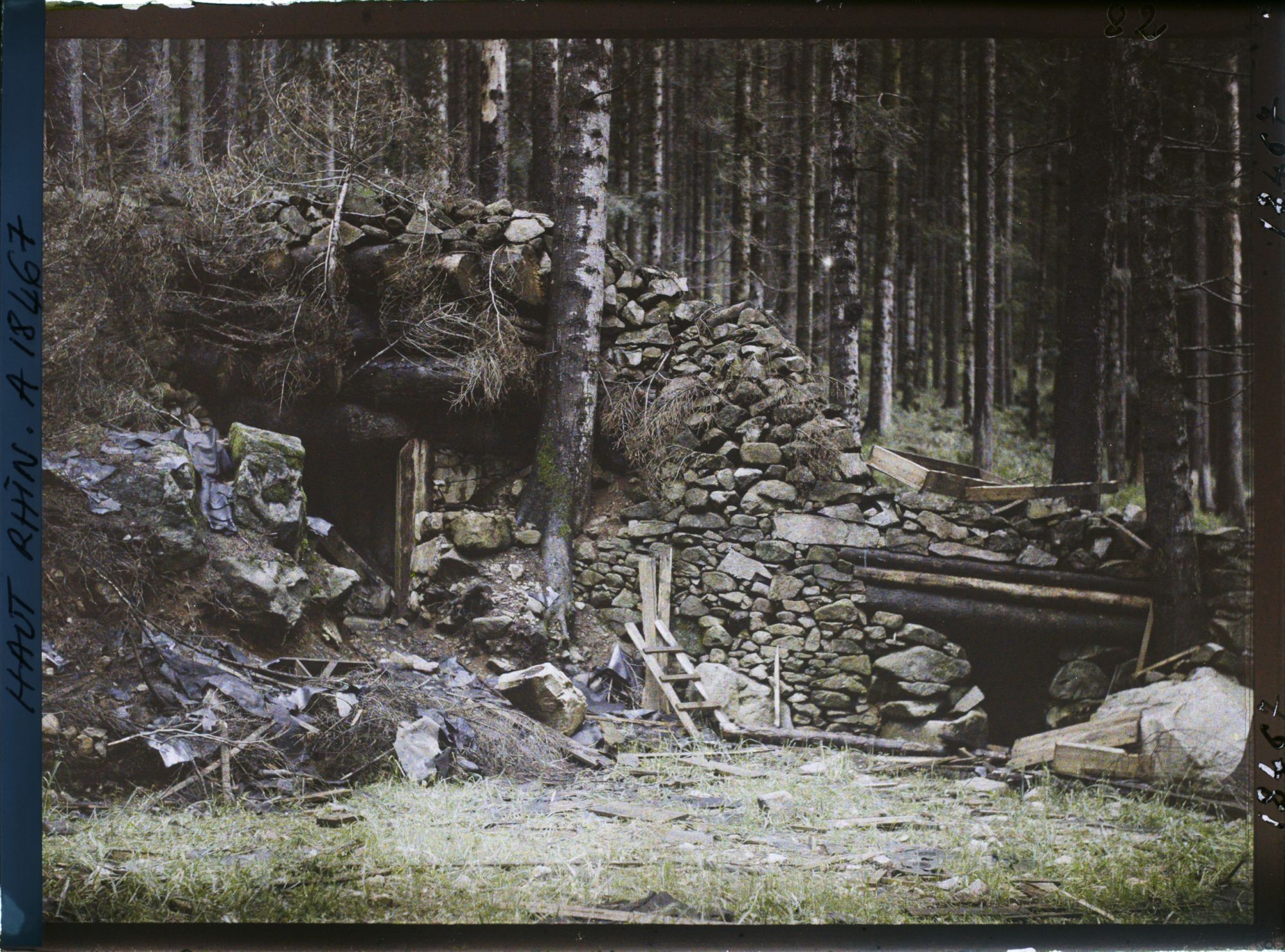 Image représentant France, Un abri dans la forêt de Stossweier
