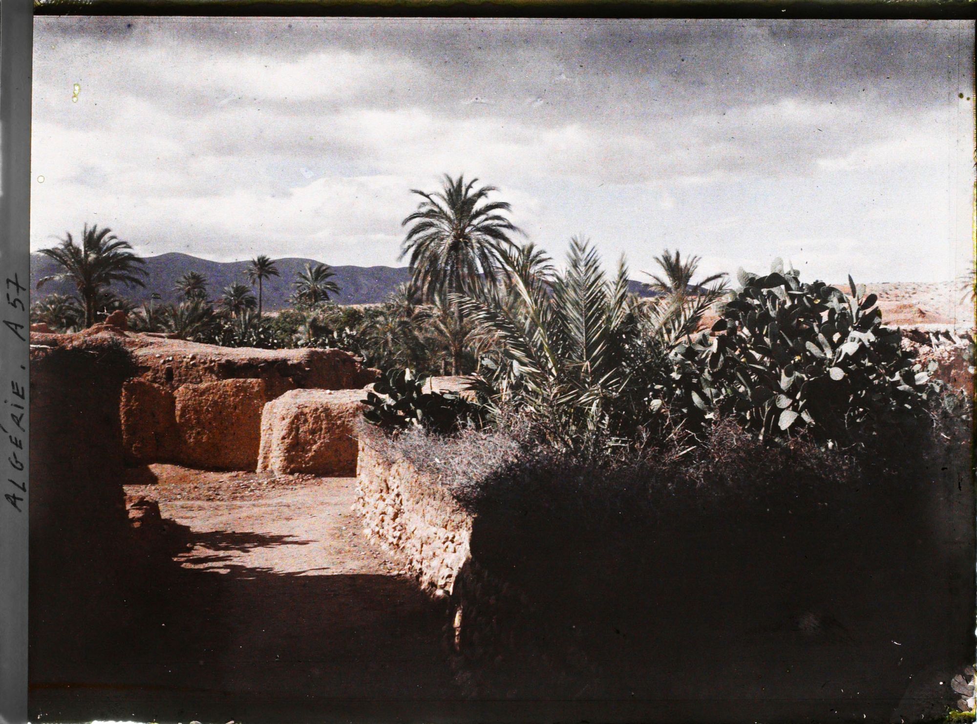 Image représentant Vue d'une rue de l'un des villages de l'oasis