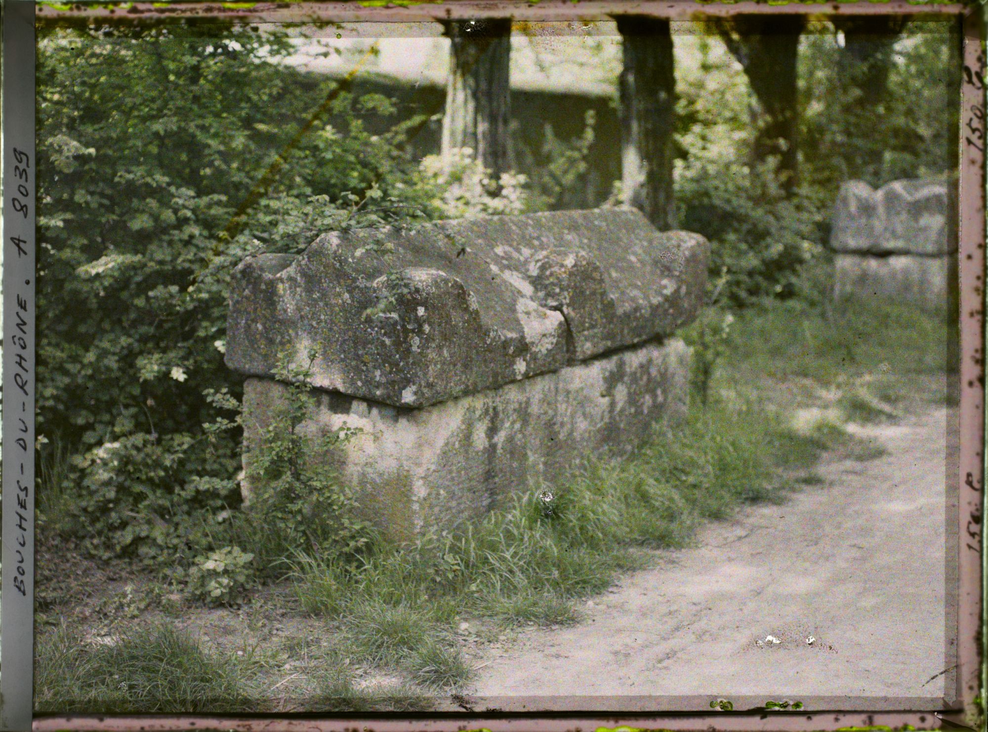 Image représentant Un sarcophage de l'allée des Alyscamps