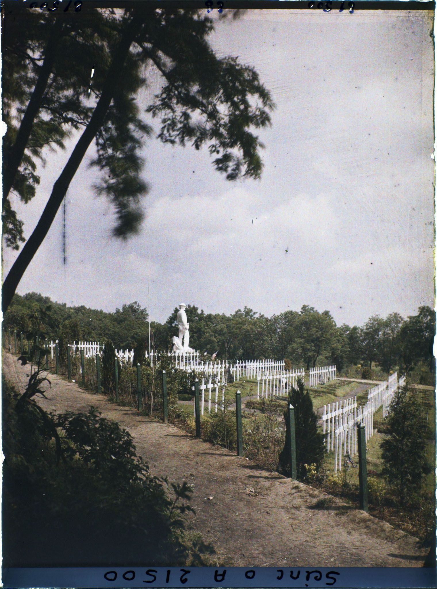 Image représentant Le cimétière américain de Suresnes
