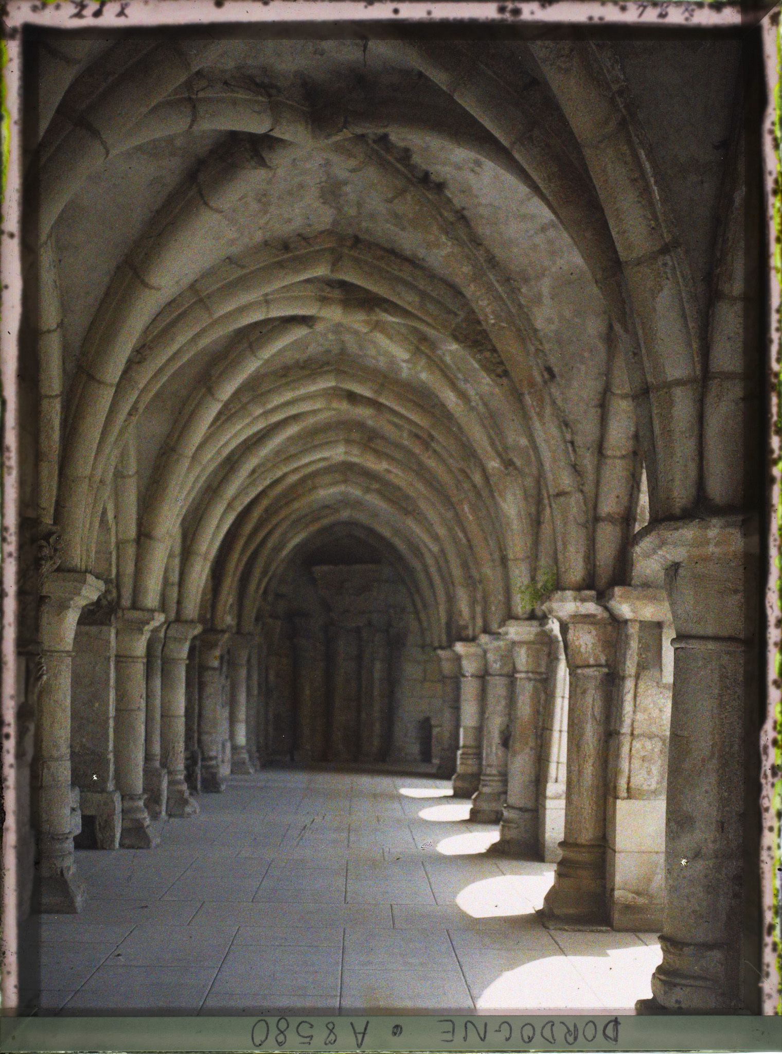 Image représentant France, Périgueux, Le cloître de la cathédrale (abbaye des 12 et 14 siècles)