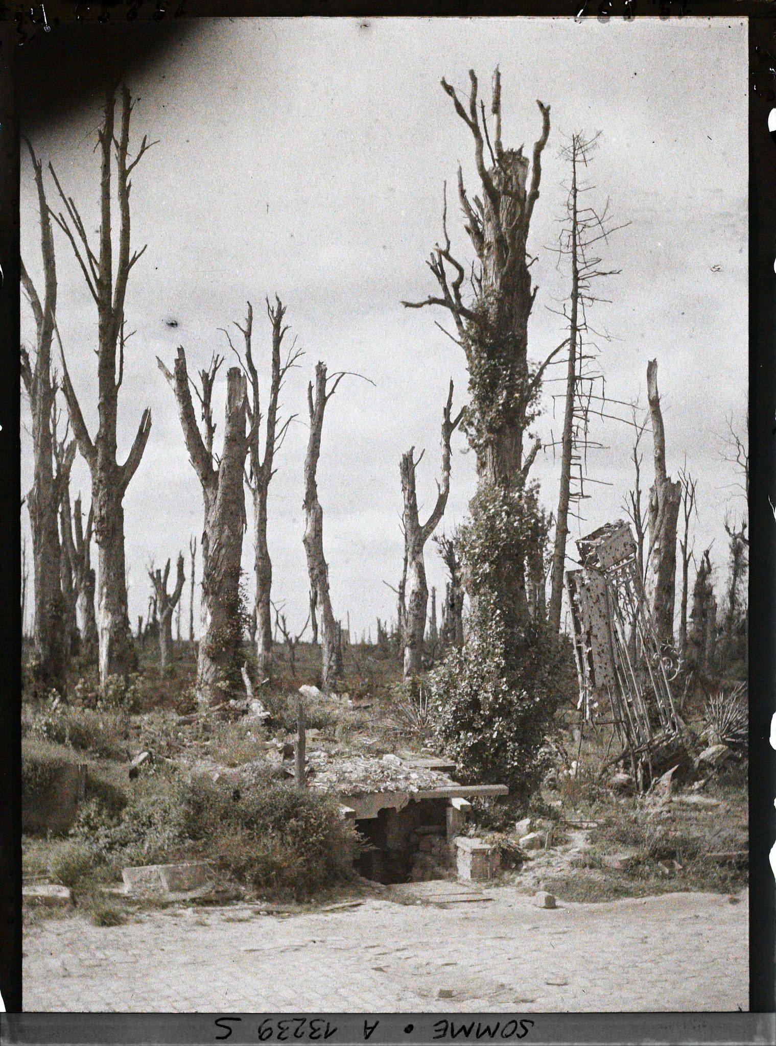 Image représentant France, Chaulnes, Ensemble du Chau et du Parc