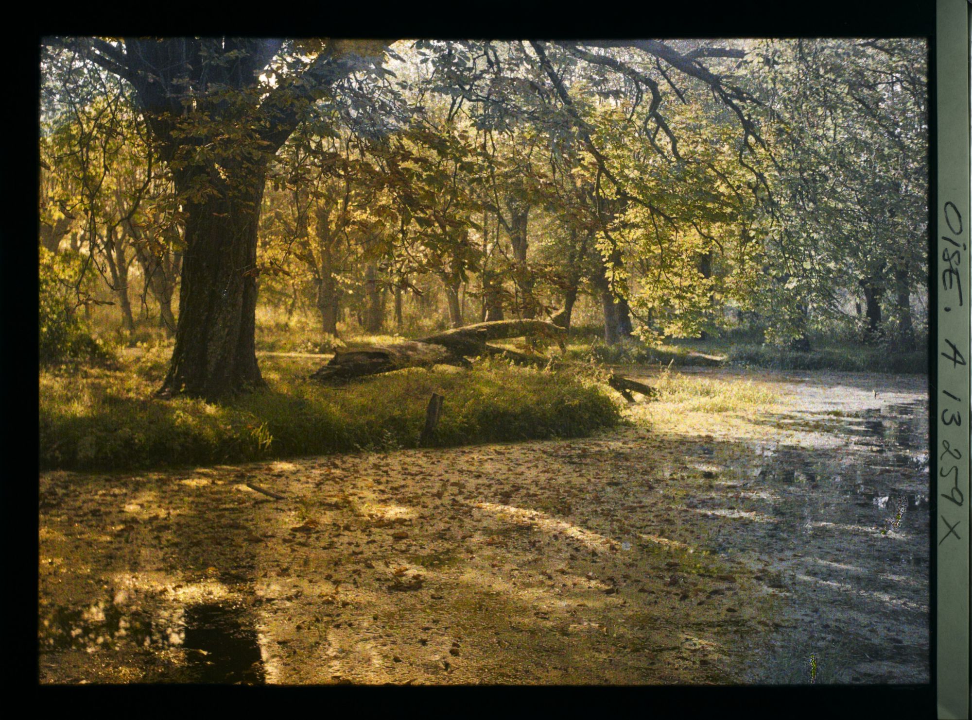 Image représentant France, , Le Château de Plémont