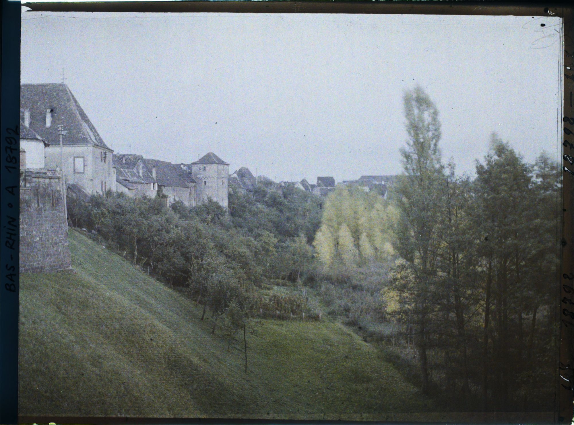 Image représentant France, Lauterbourg, Les fortifications et les arbres au dessus