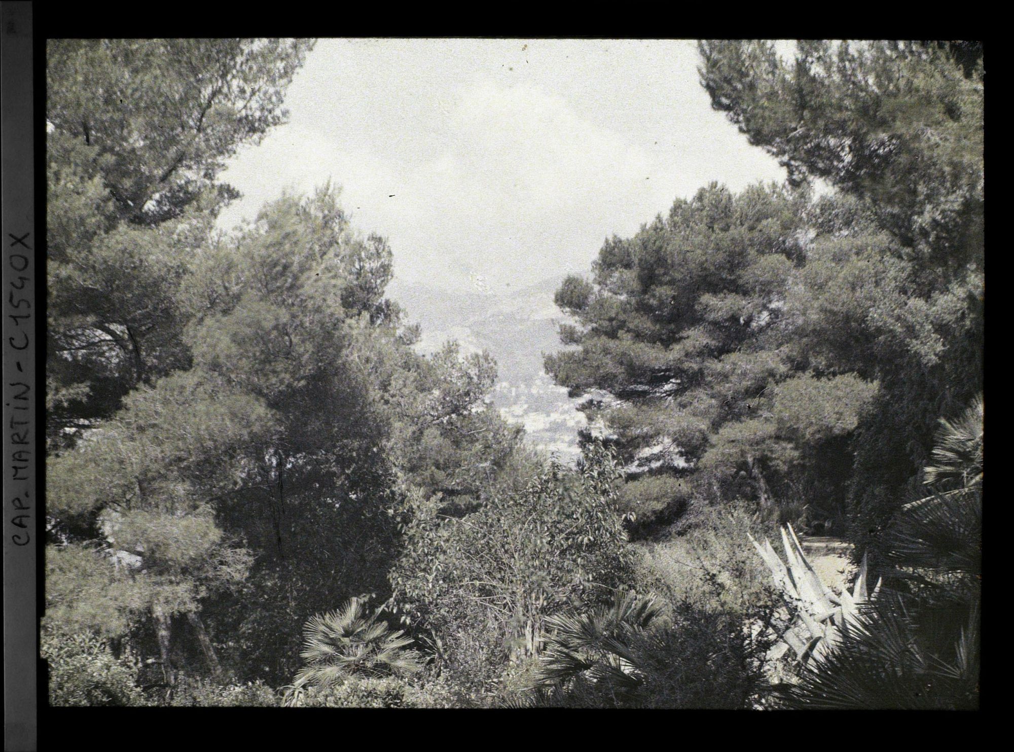 Image représentant Vue sur Monaco et une allée du jardin à travers la végétation