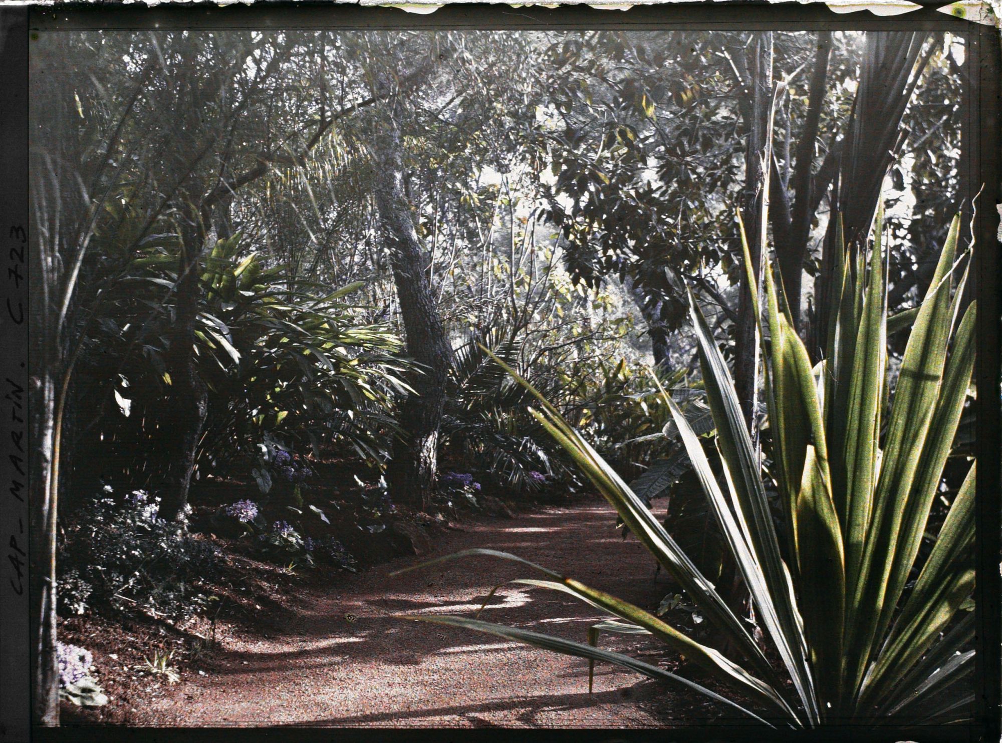 Image représentant Jardin divers