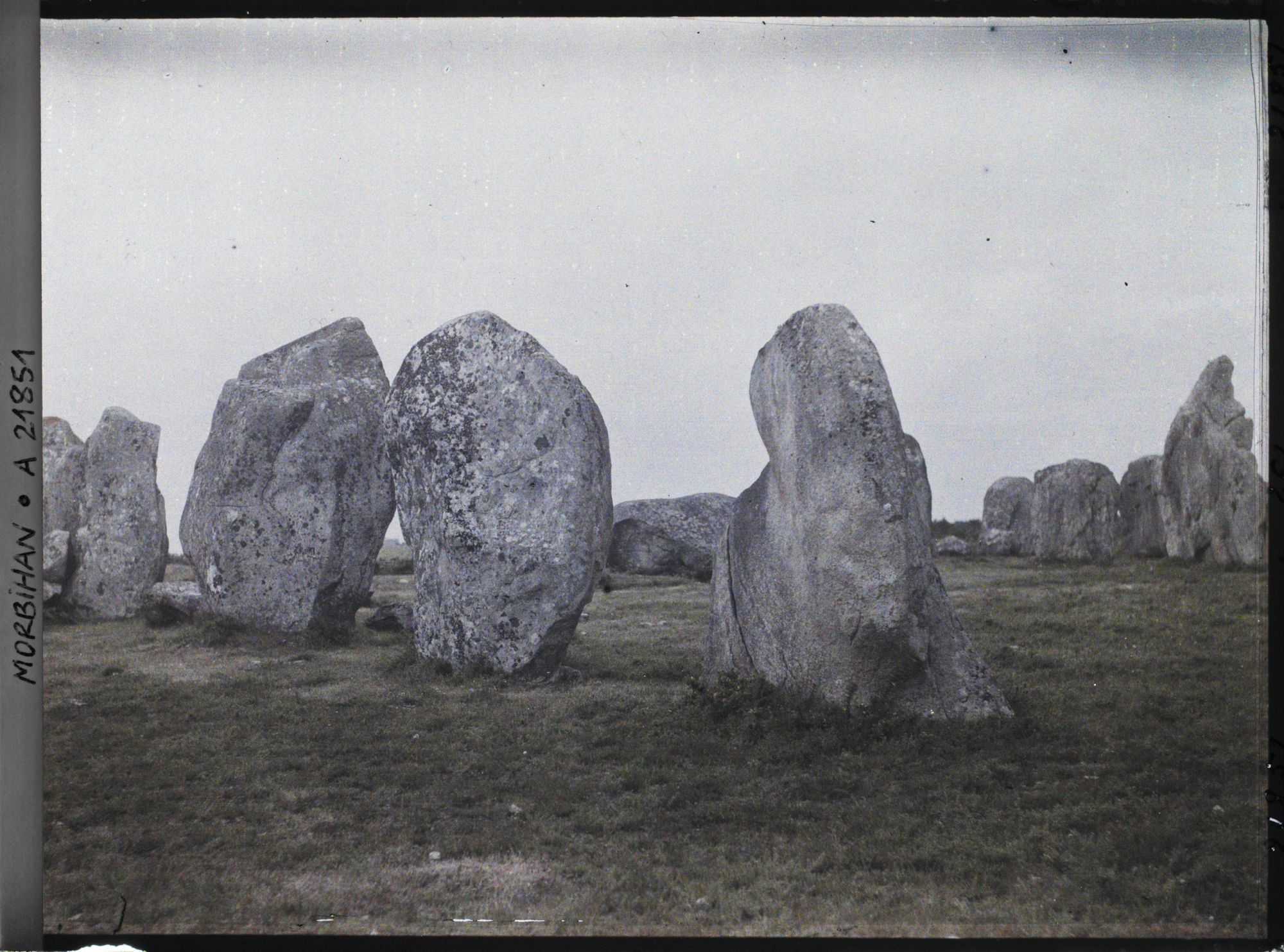 Image représentant Un groupe de menhirs