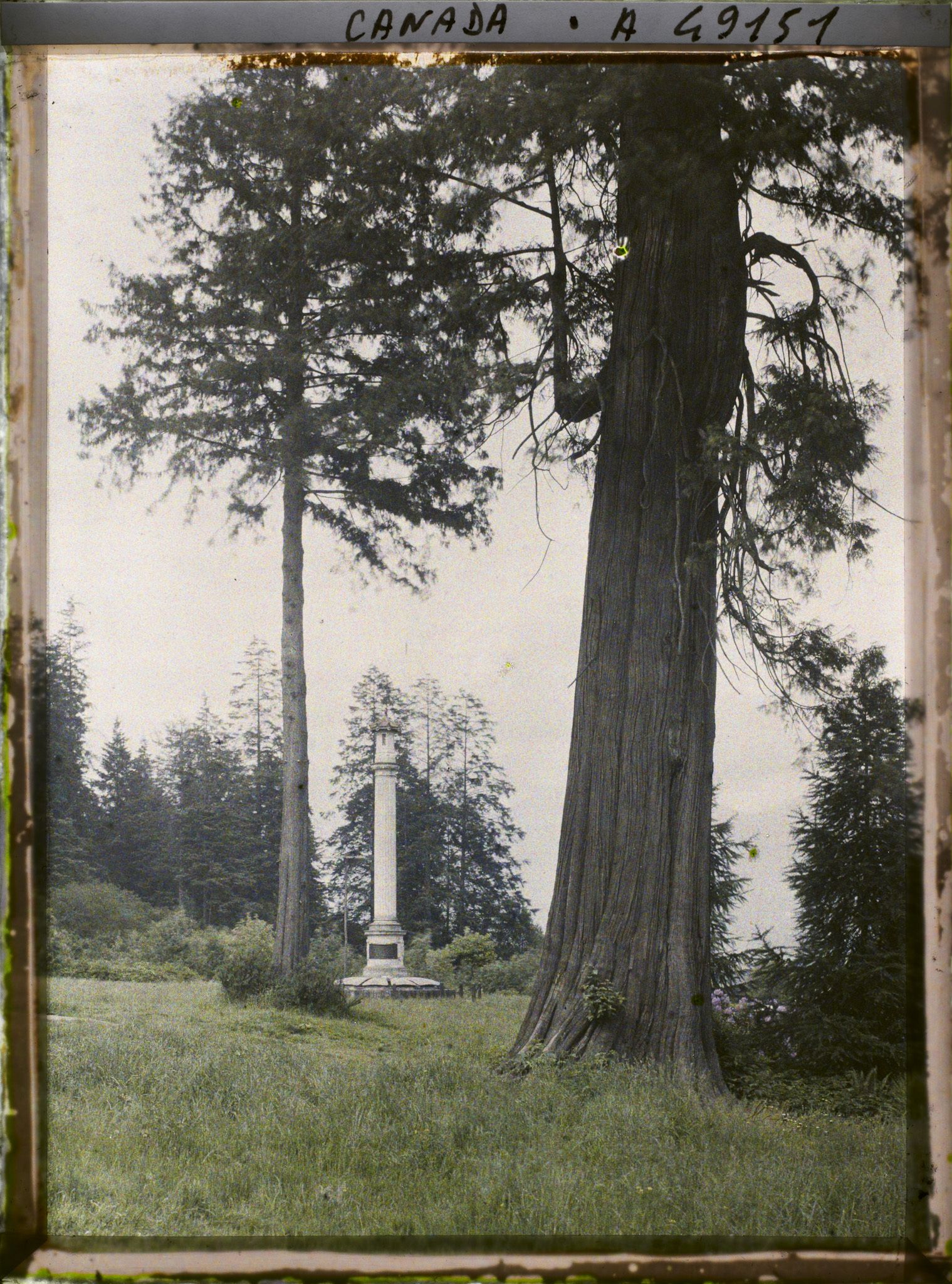 Image représentant Canada, Vancouver, Stanley Parc, Vue vers le Monumt de la Colonie Japonaise