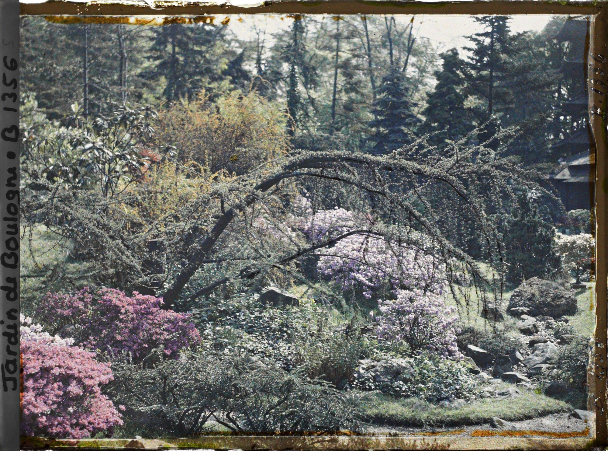 Image représentant Coin de paysage fleuri au bord d'étroits chemins situés à l'ouest du " village japonais "