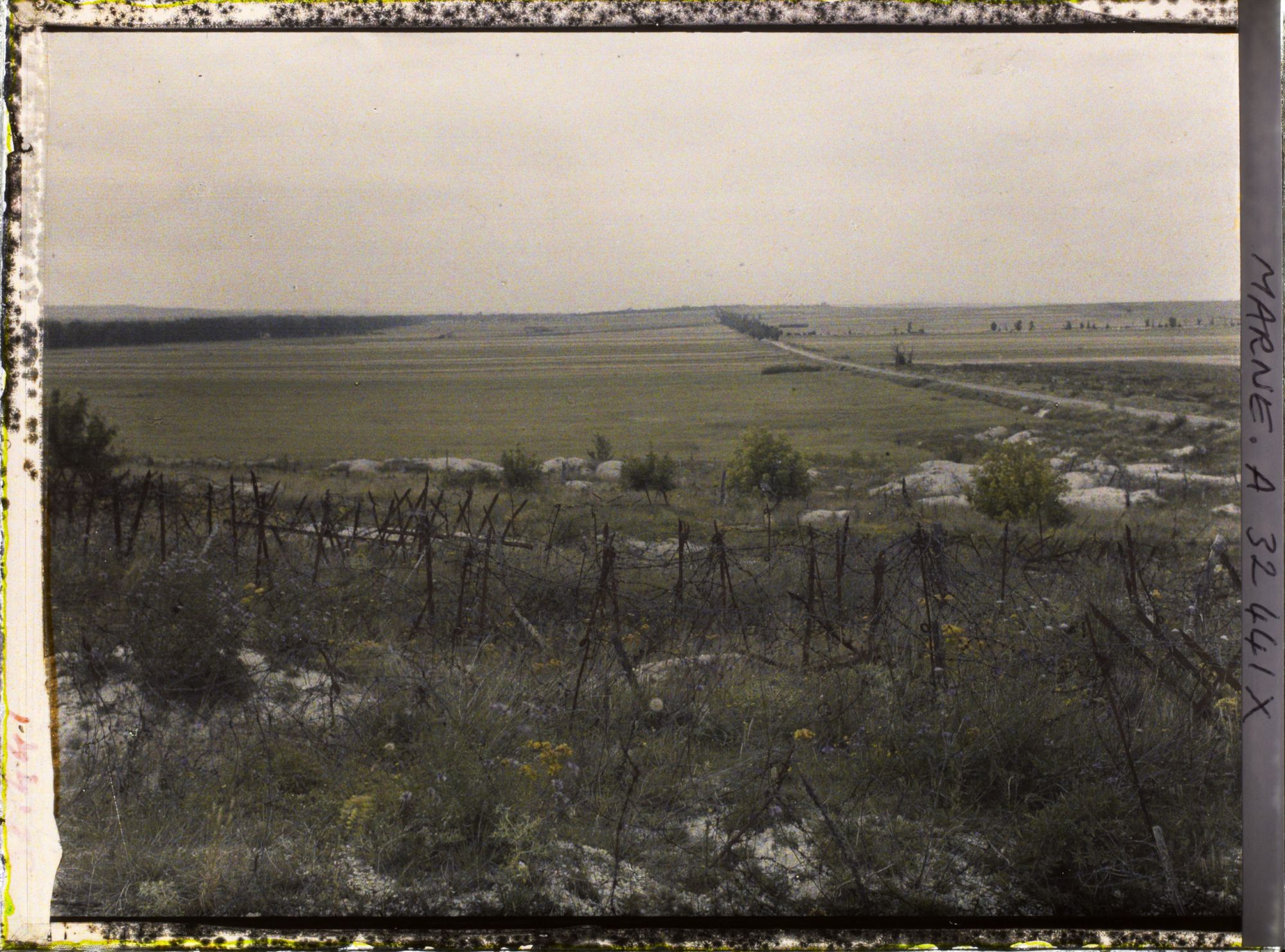 Image représentant France, Reims, Abords du fort et terre remise en Culture direction Reims