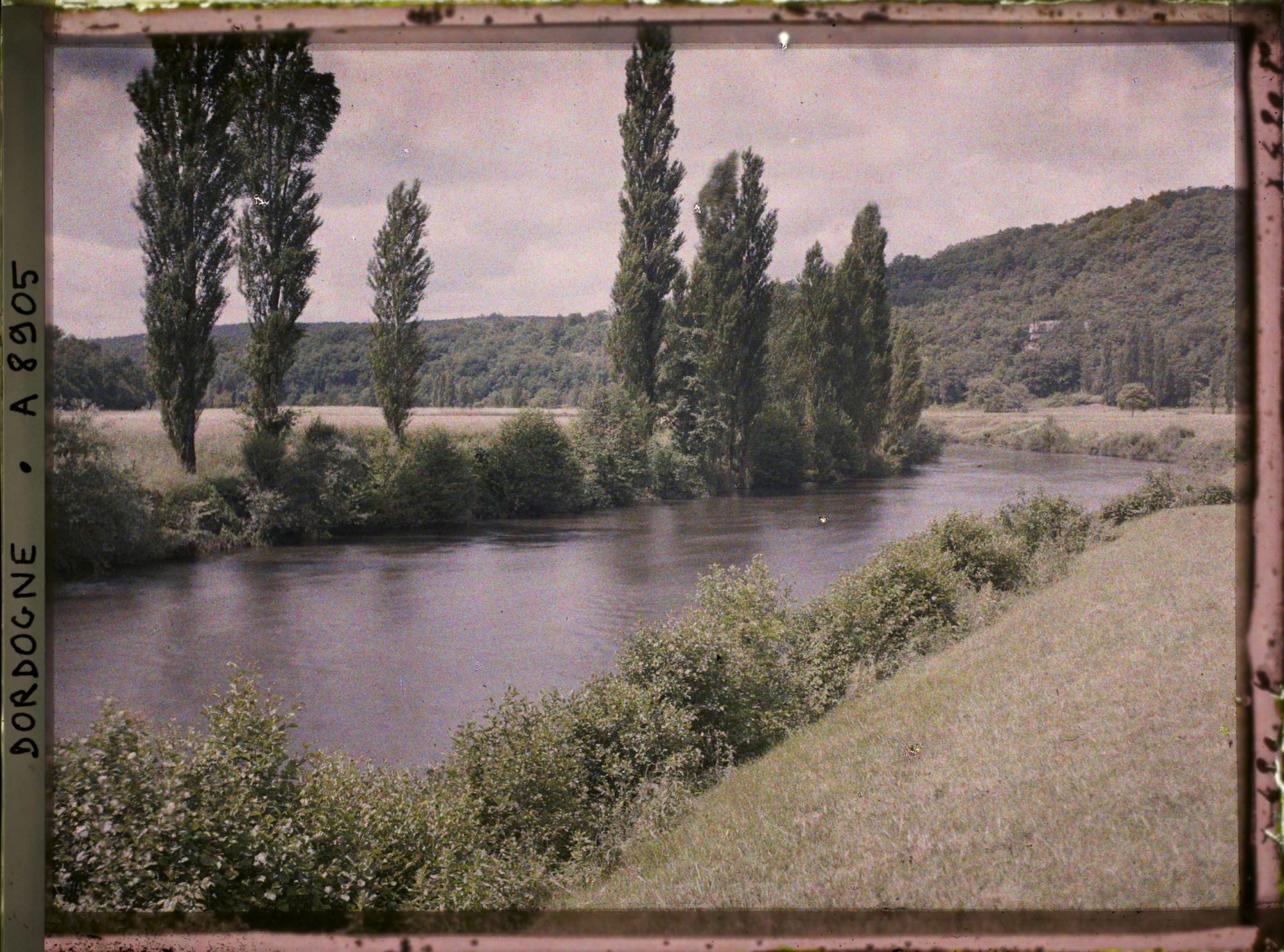 Image représentant France, Grotte de la Madeleine, Paysage de la Vézère avec les rochers de la Madeleine et de grands peupliers