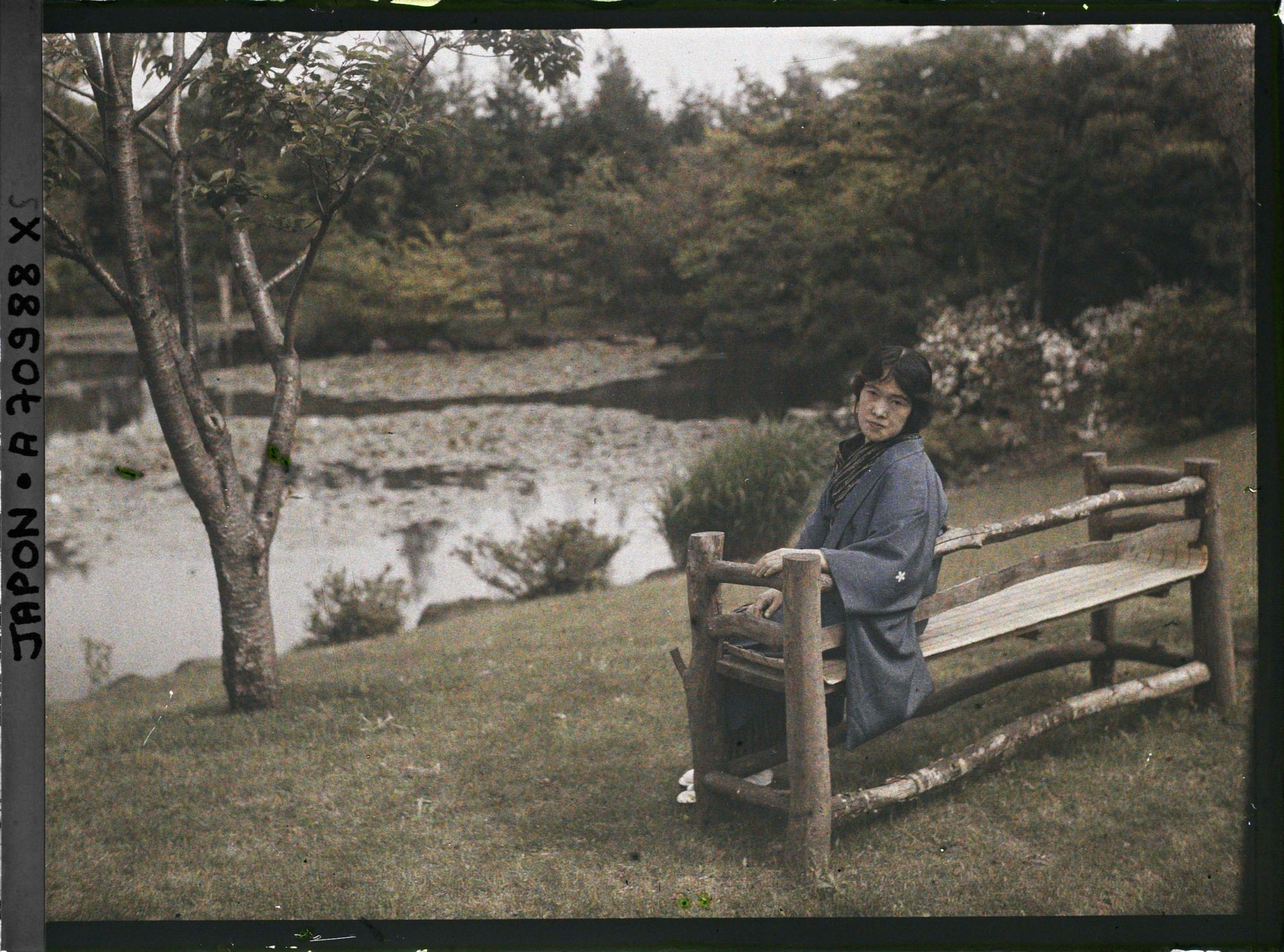Image représentant Japonaise dans le jardin d'une résidence