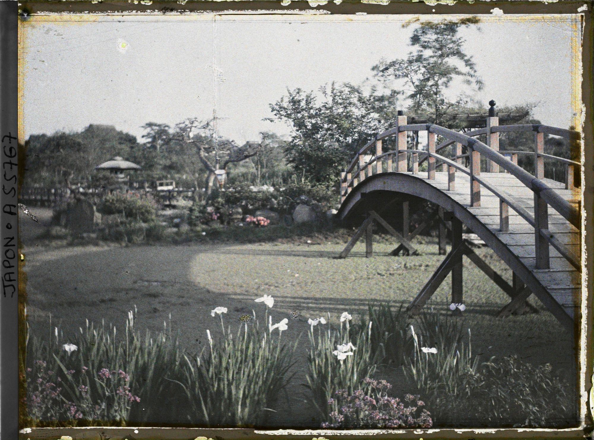 Image représentant Jardin d'iris de Horikiri