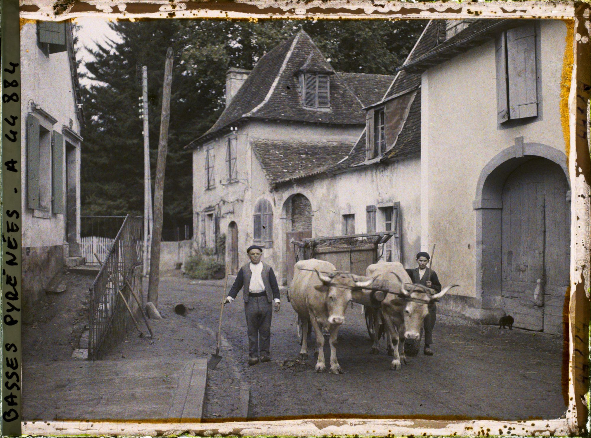 Image représentant France, Orthez, Attelage de b?ufs (2 Types Béarnais)