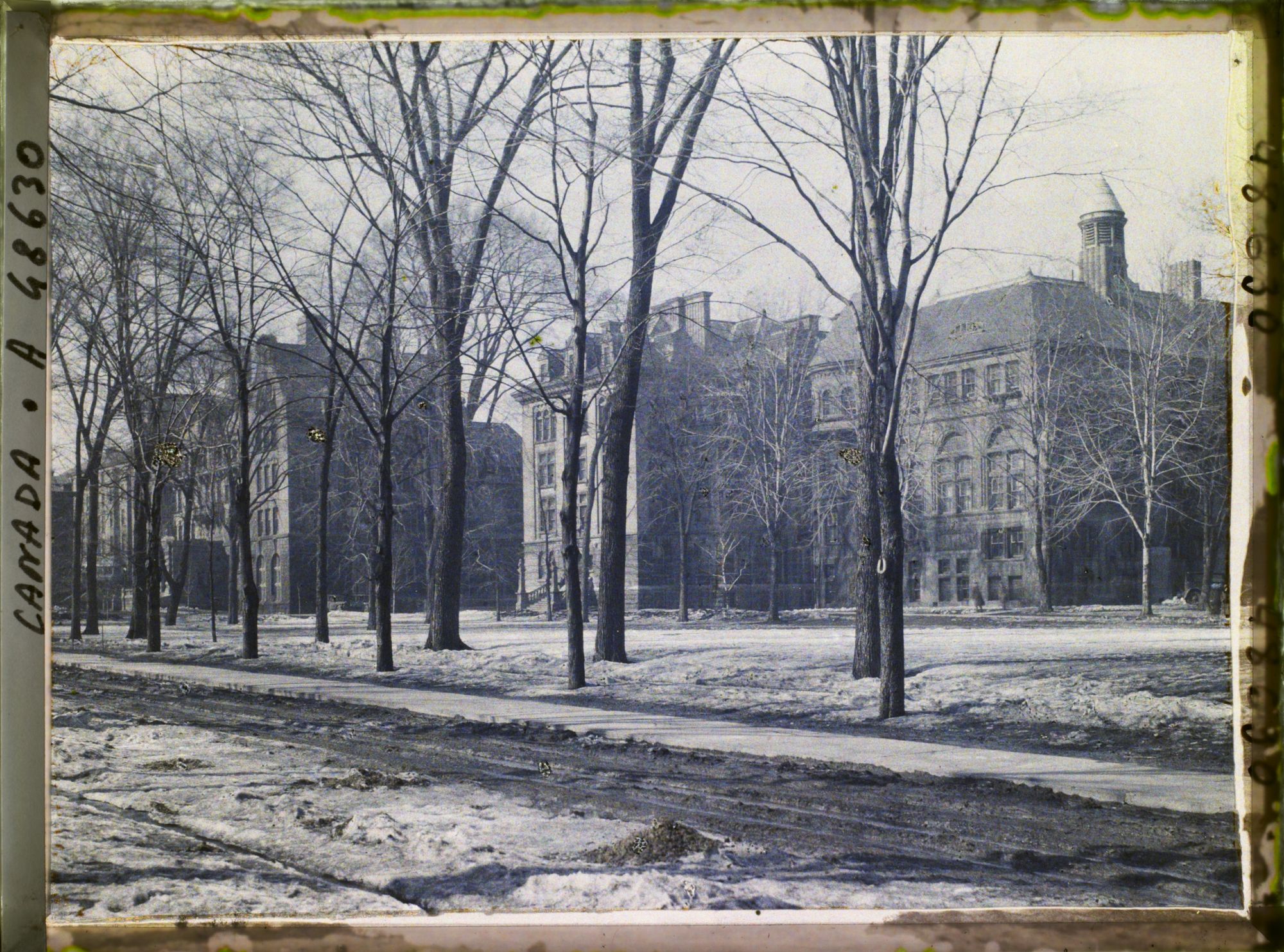 Image représentant Canada, Montréal, Université rue Gill, un bâtiment